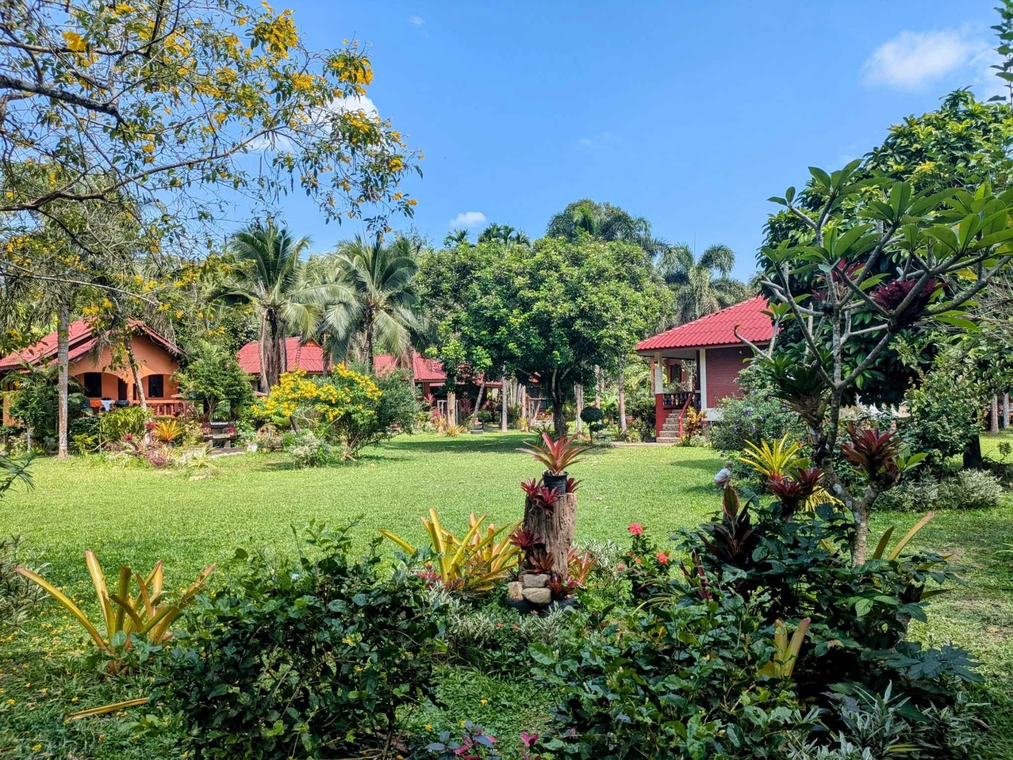 474888765_1603886190237330_1529450479718142594_n (1).jpg