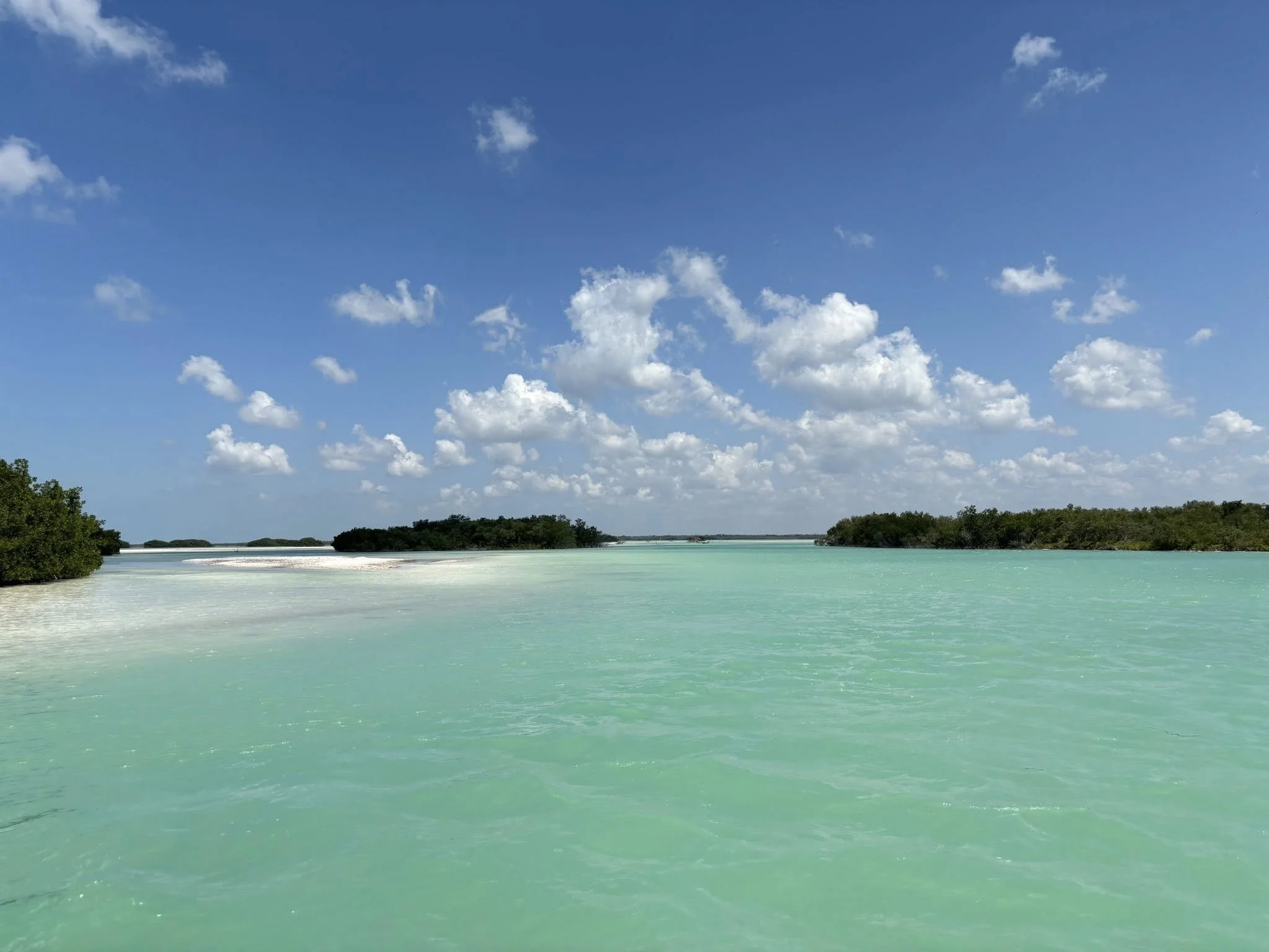 495342272_10229093654587789_1291323954413770567_n (1).jpg