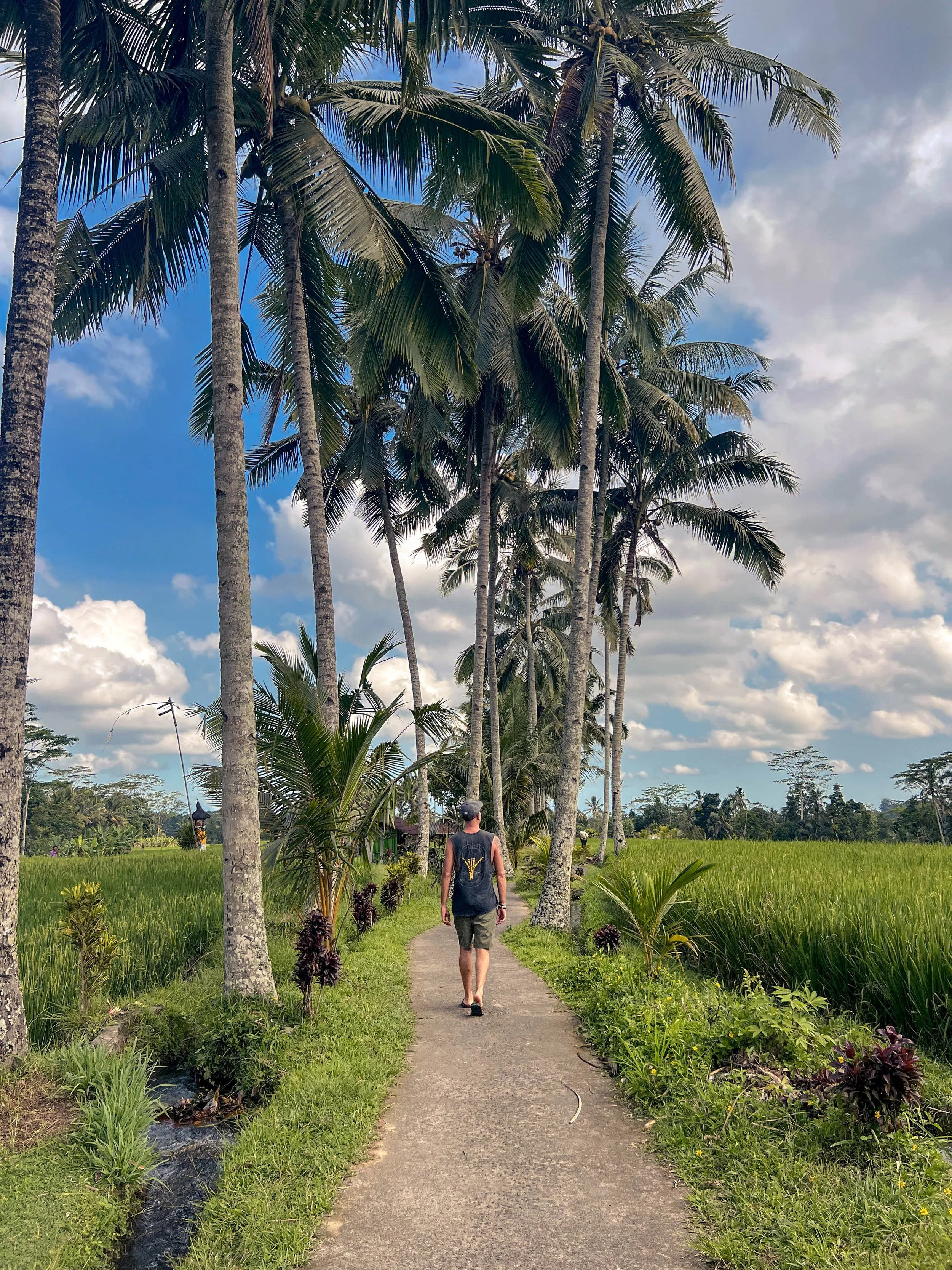 Tampaksiring Mancingan Ricefields 06.jpg