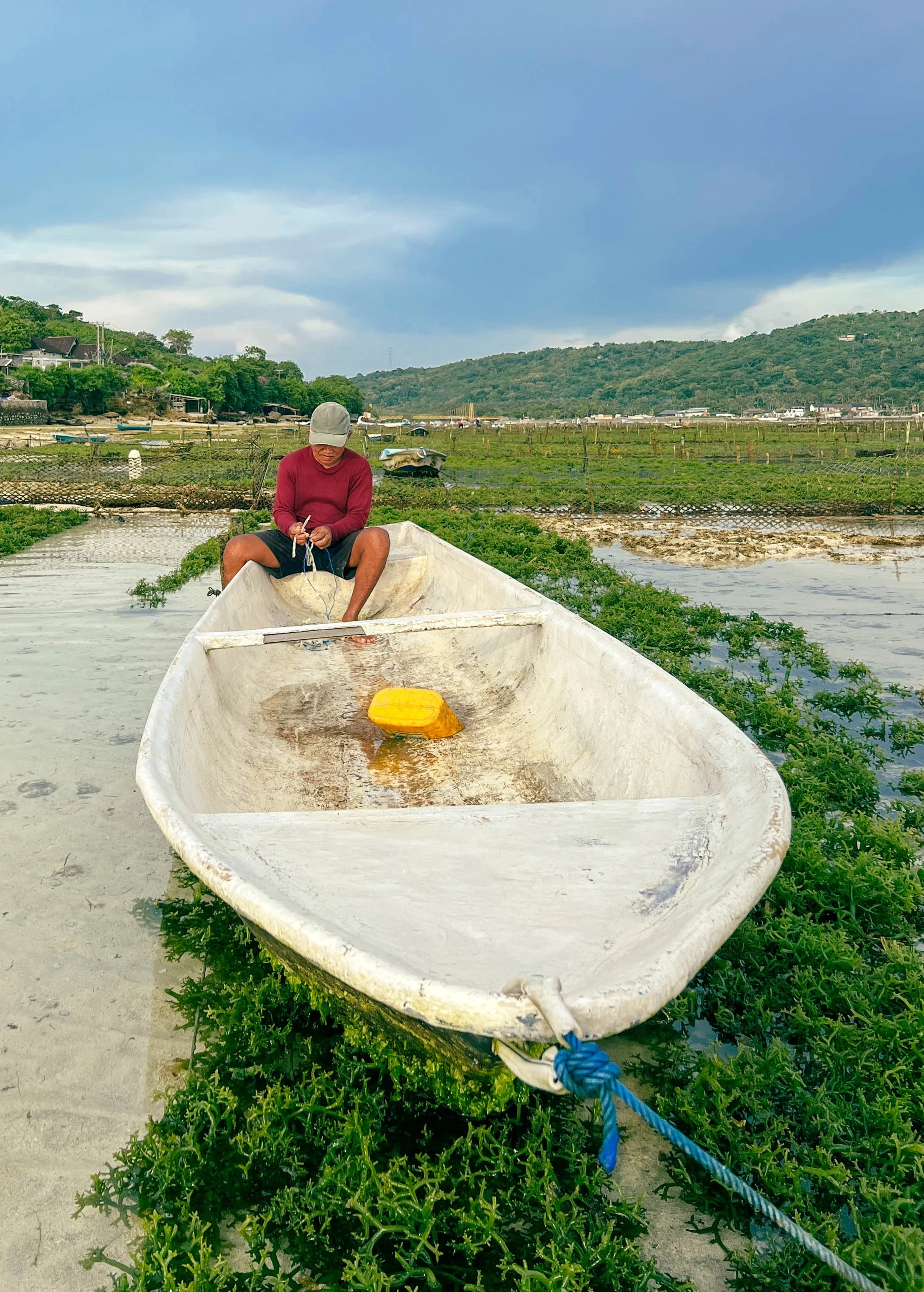 Lembongan seaweed 02.jpg