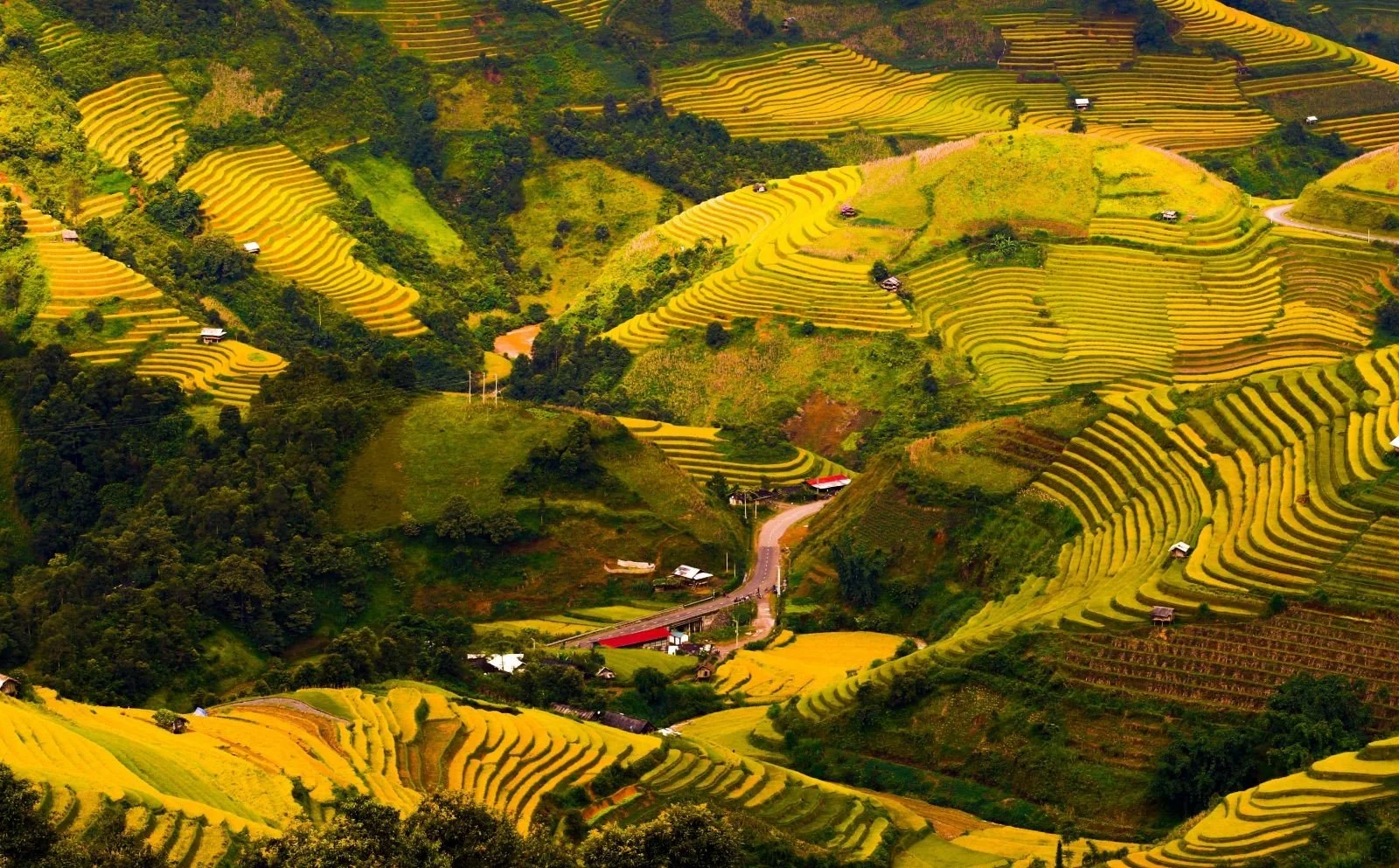 mu cang chai 16.jpeg