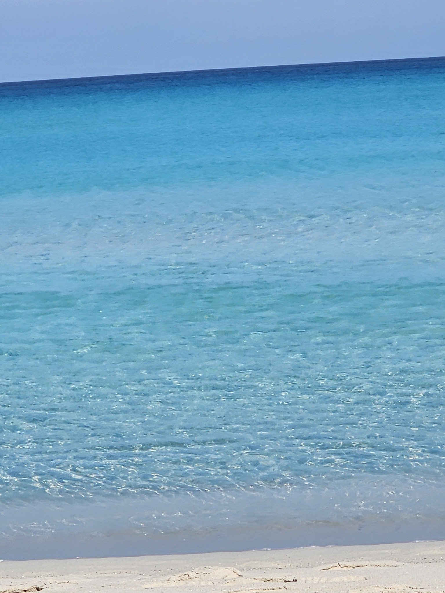 484779694_9693624167360662_2958565190968691896_n (1).jpg