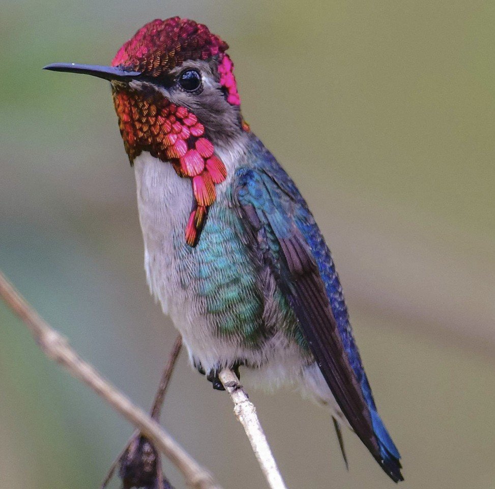 Capture d’écran 2025-06-18 004740.jpg