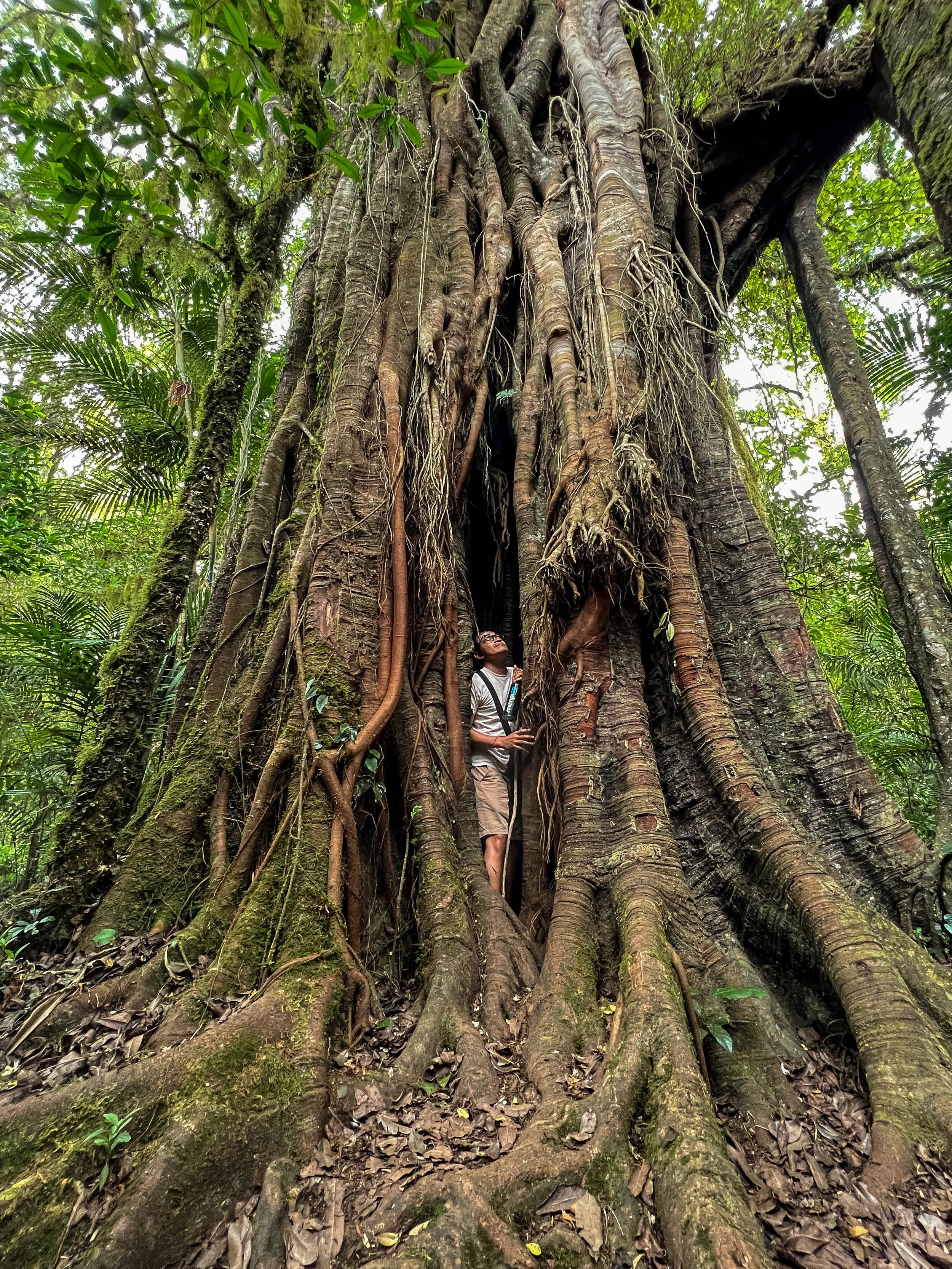 Tamblingan trek munduk 07 (1).jpg