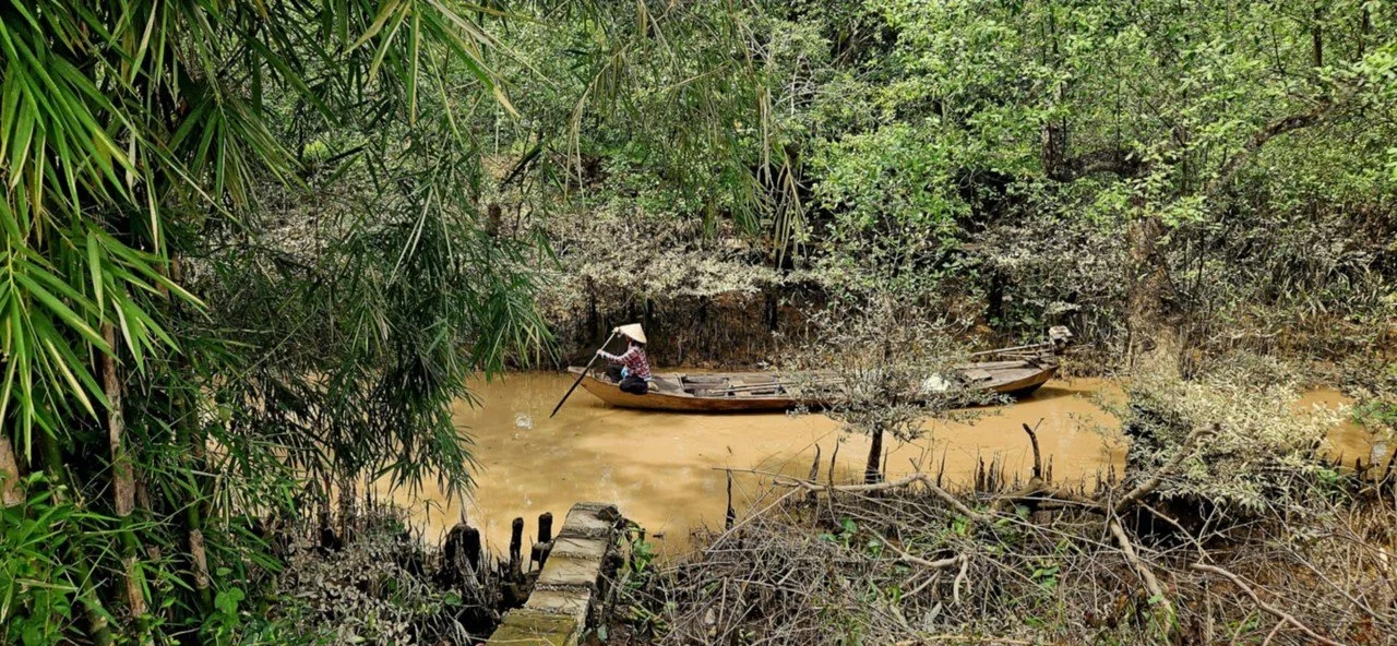 Une personne portant un chapeau conique japonais utilise une pagaie sur une petite embarcation en bois dans une rivière marron entourée de végétation dense.