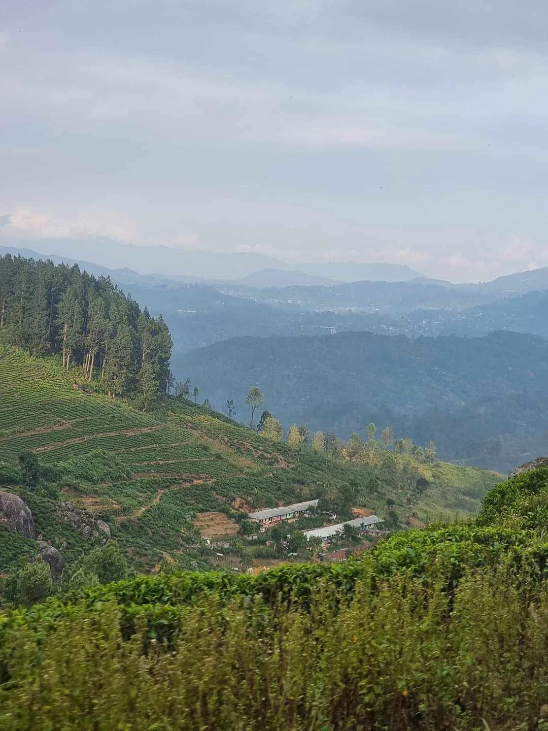 429568726_1617488712432673_6330878683887436118_n (1).jpg