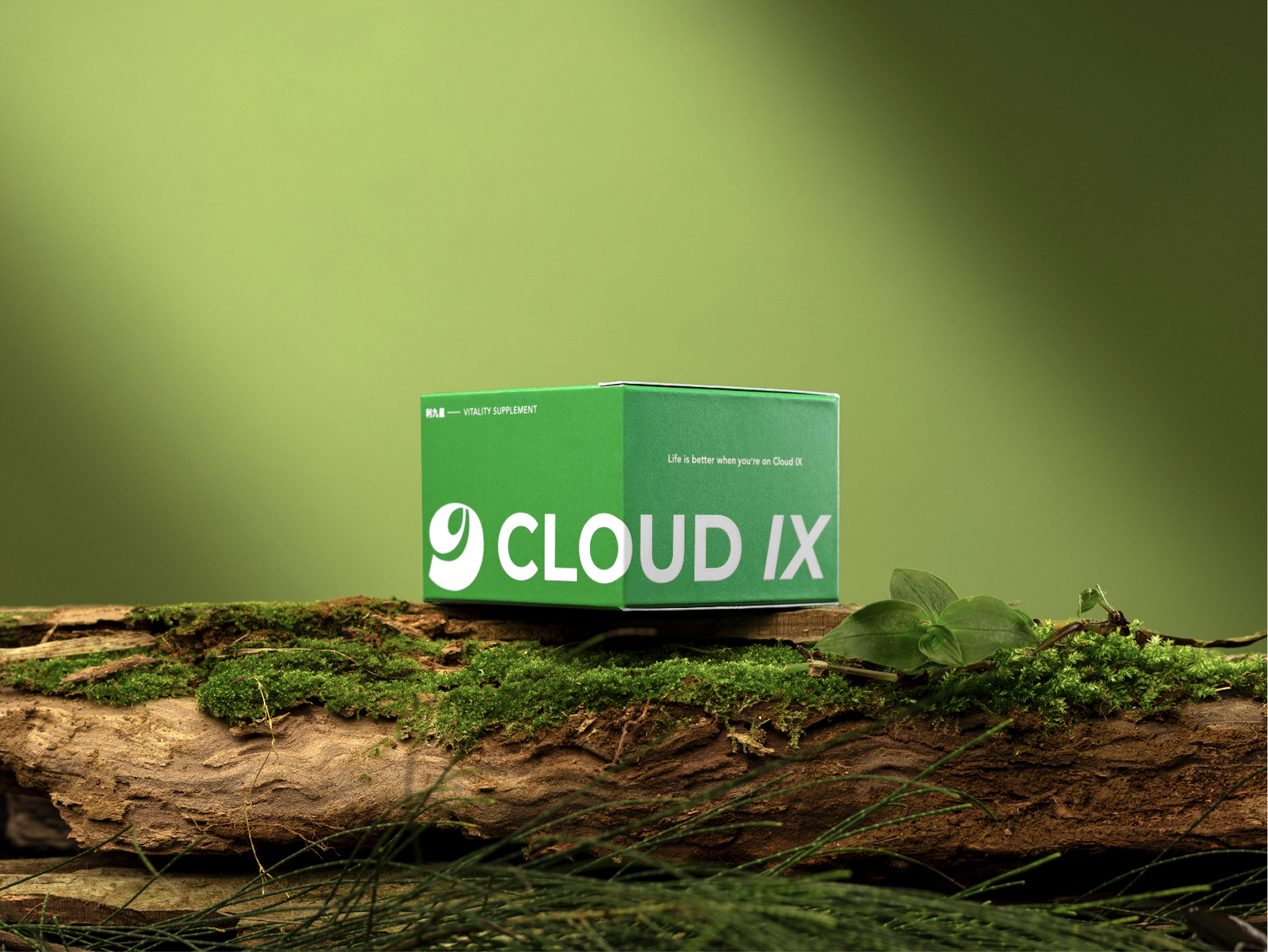 A green box labeled 'Cloud IX' sits on a mossy log in a natural setting, with a blurred green background and some foliage in the foreground.