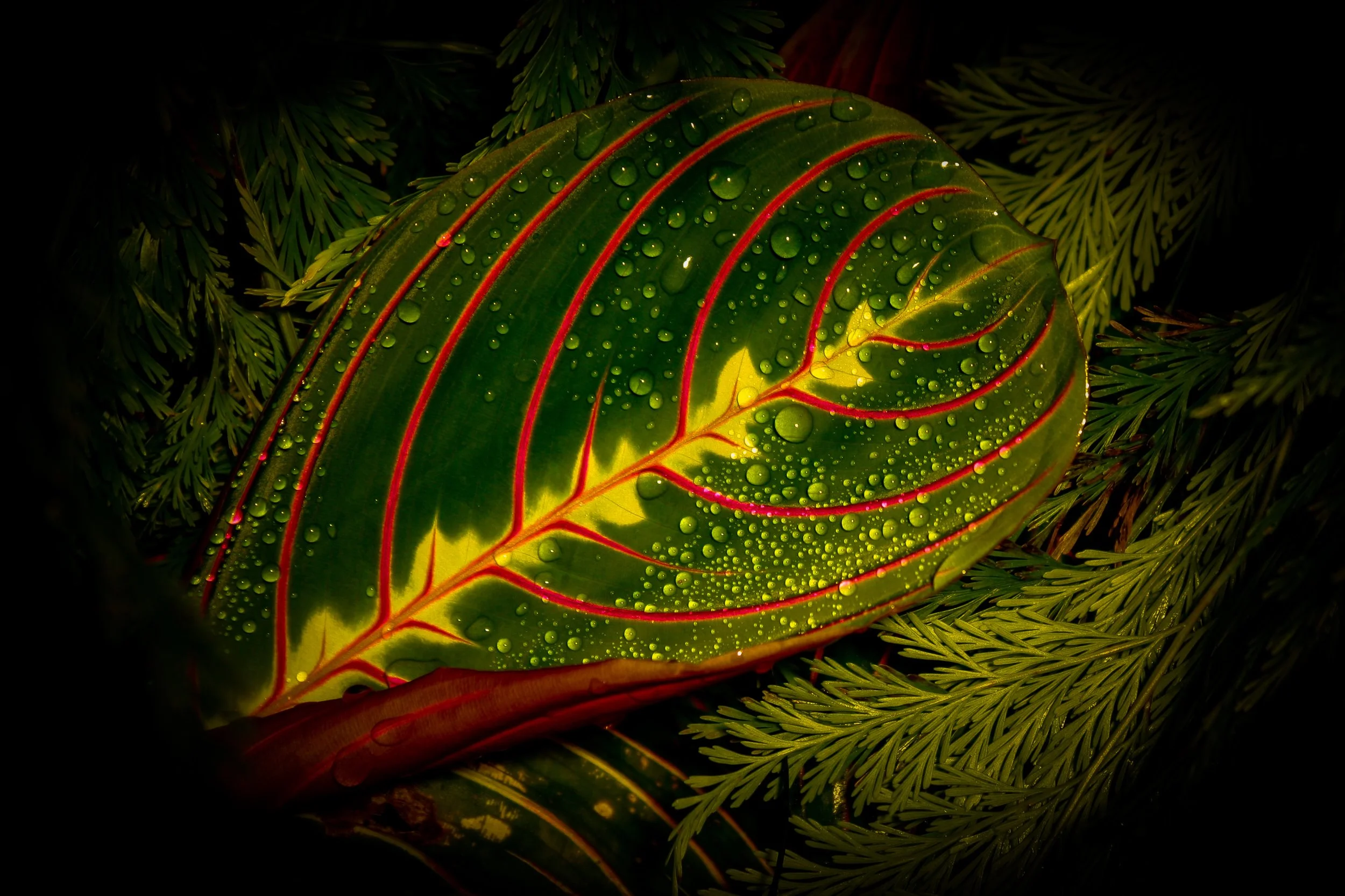 How to Overcome imposter Syndrome in Your Career 