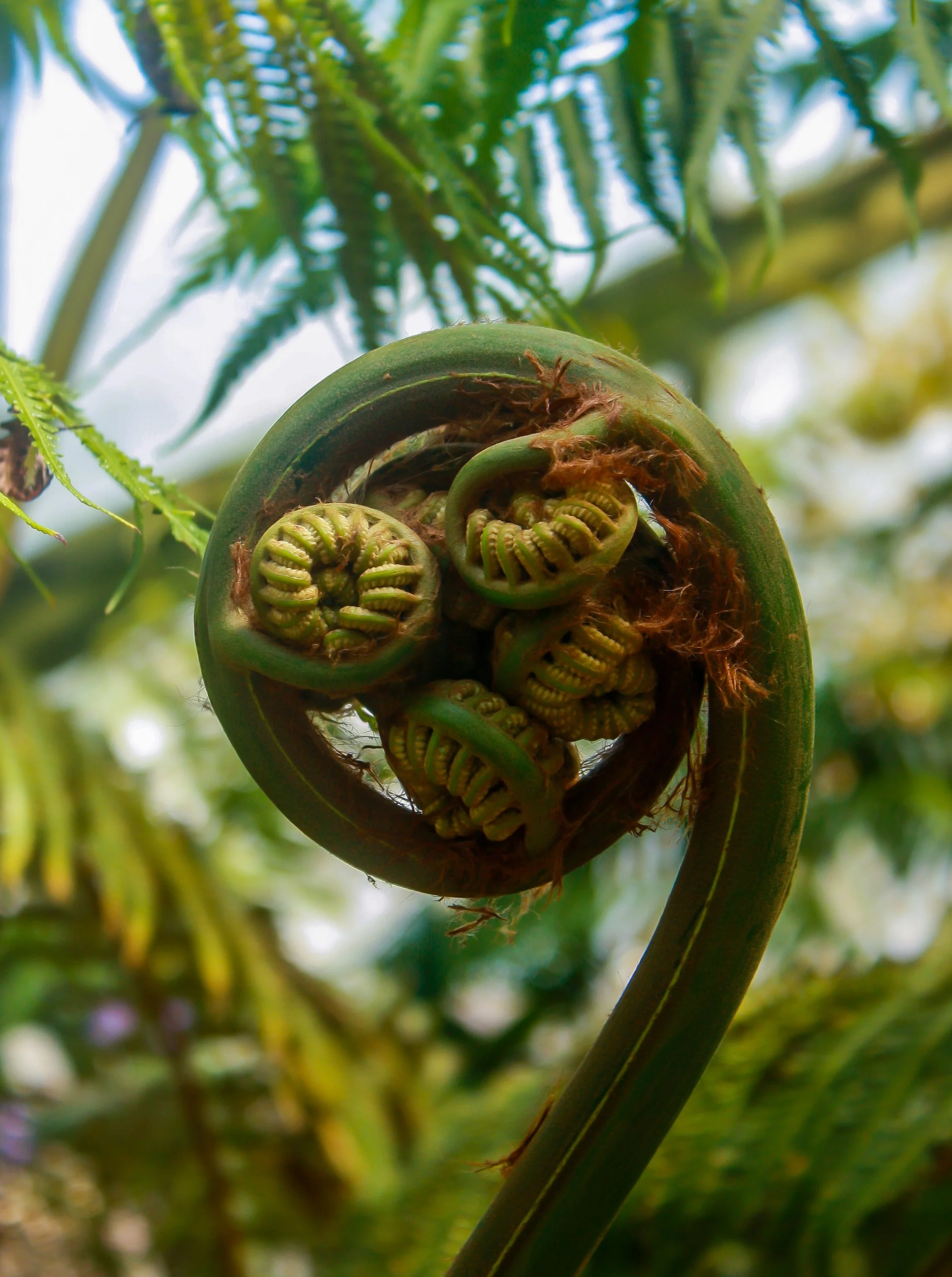 The Role of Coaching in “Unlocking Your Potential” - and why it’s such a cliché