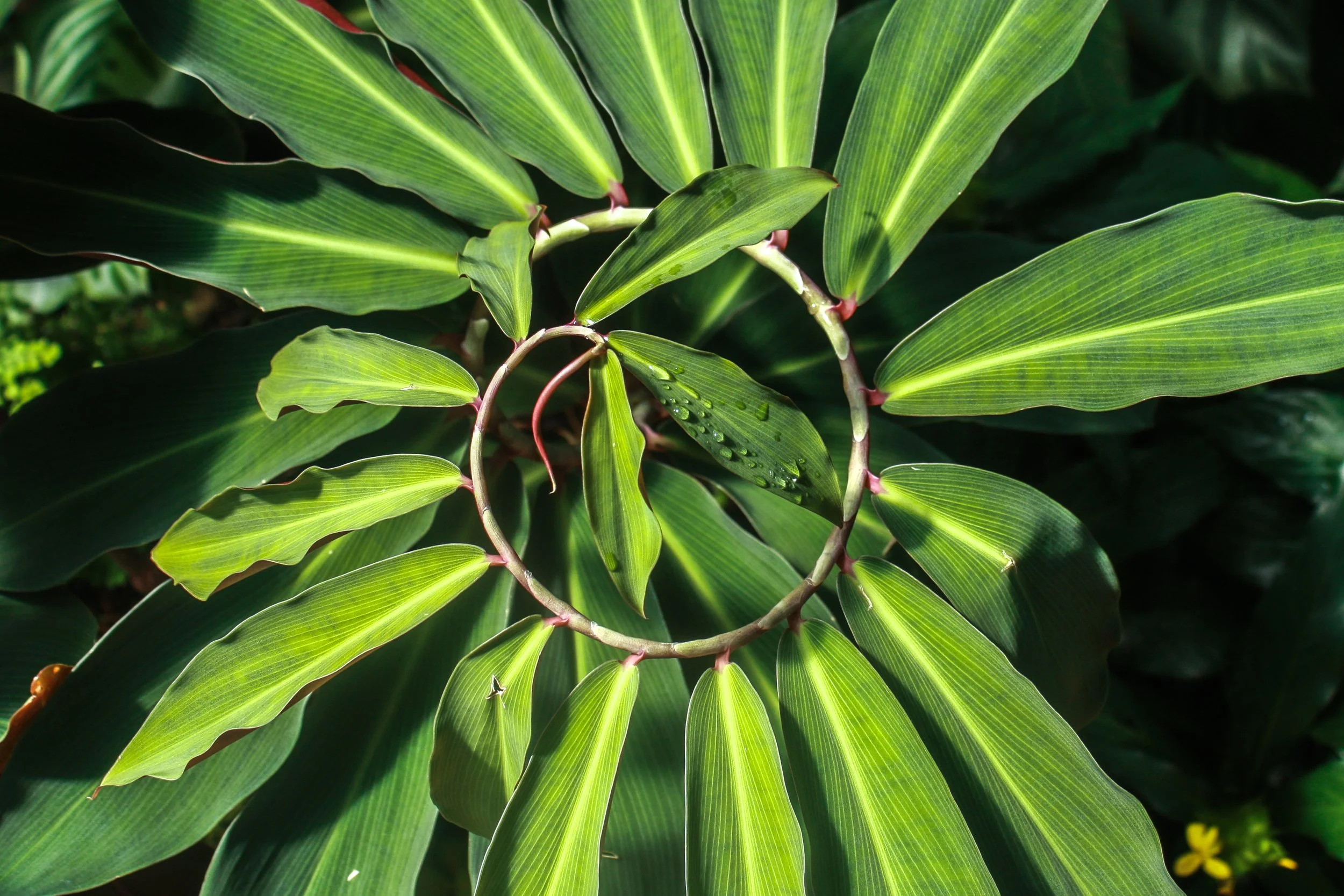 Feeling Stuck? 5 Signs You’re Ready for a Coach