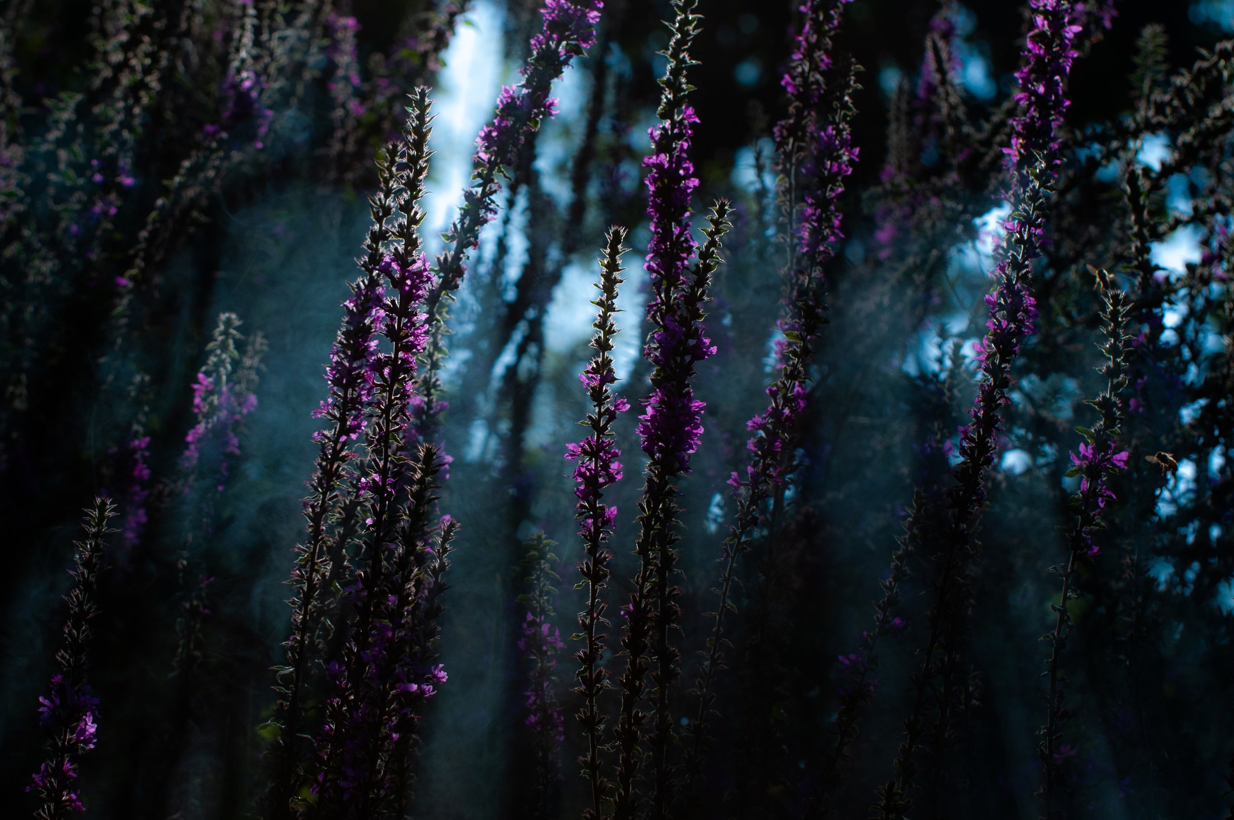 Why More Professionals Are Investing in Coaching in 2025