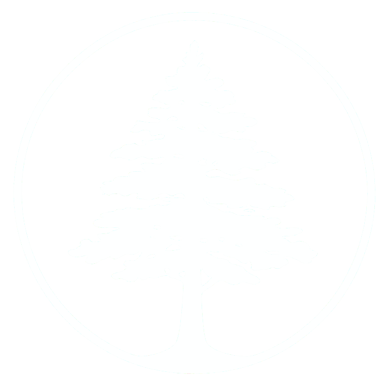 Outline drawing of a pine tree inside a circle.