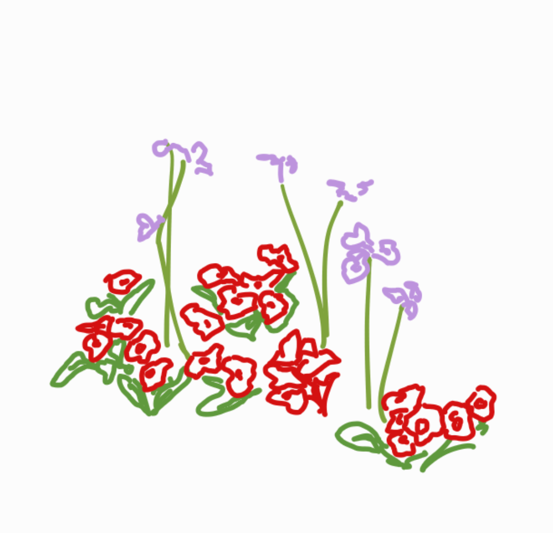 Frühlingsgewinnspiel – Start des Newsletters