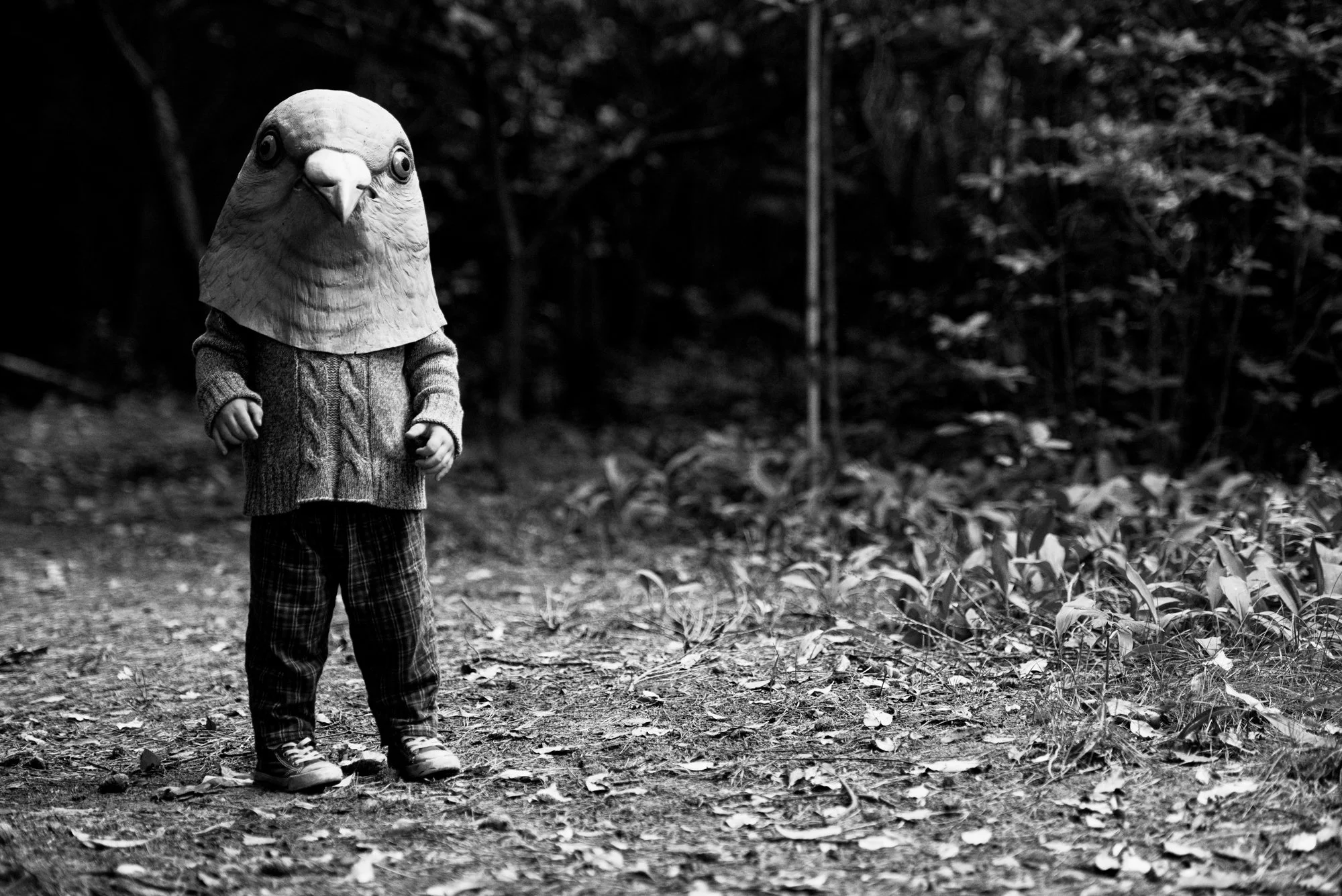 Silas_PigeonHead_2014_Kalmthout_AdobeRGB_7093_B&W+.jpg