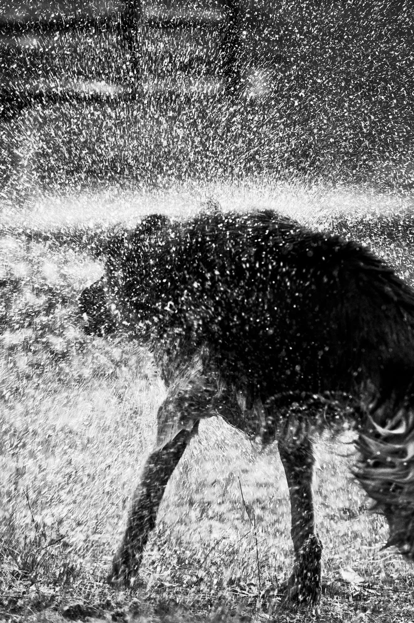 James_2017_Retie_9339_B&W_AdobeRGB.jpg