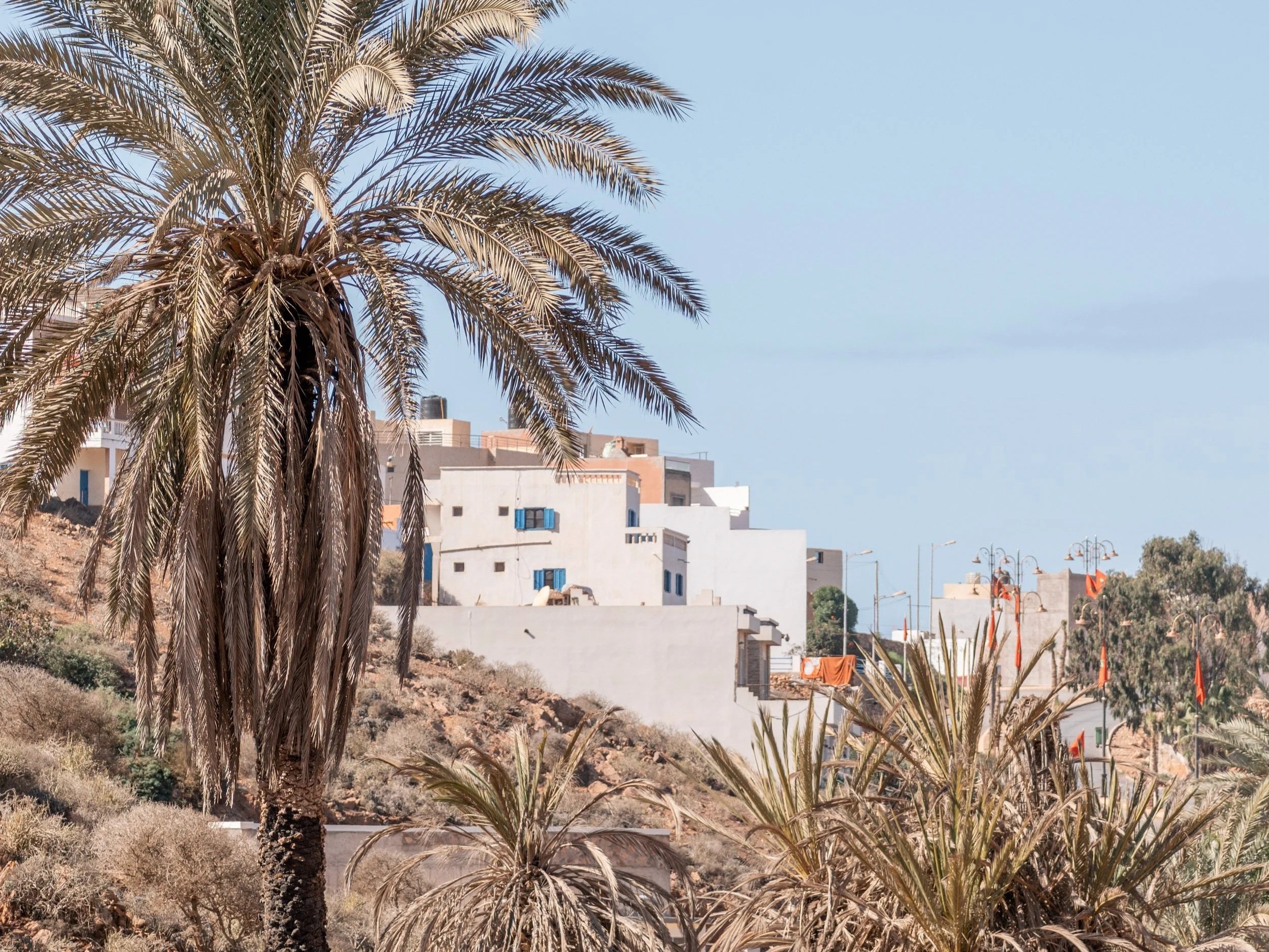 A desert landscape with a large palm tree and a hillside dotted with white buildings, some with orange laundry hanging out to dry.