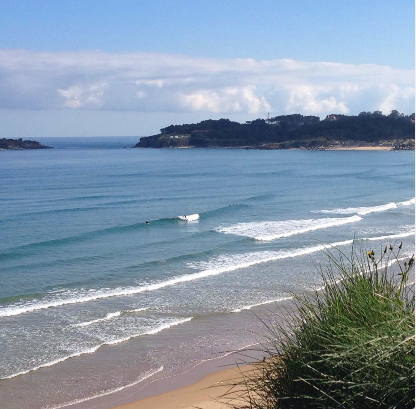 A beach with gentle waves lapping the sandy shore, green grasses in the foreground, and a view of land with trees and some buildings across the water in the background.