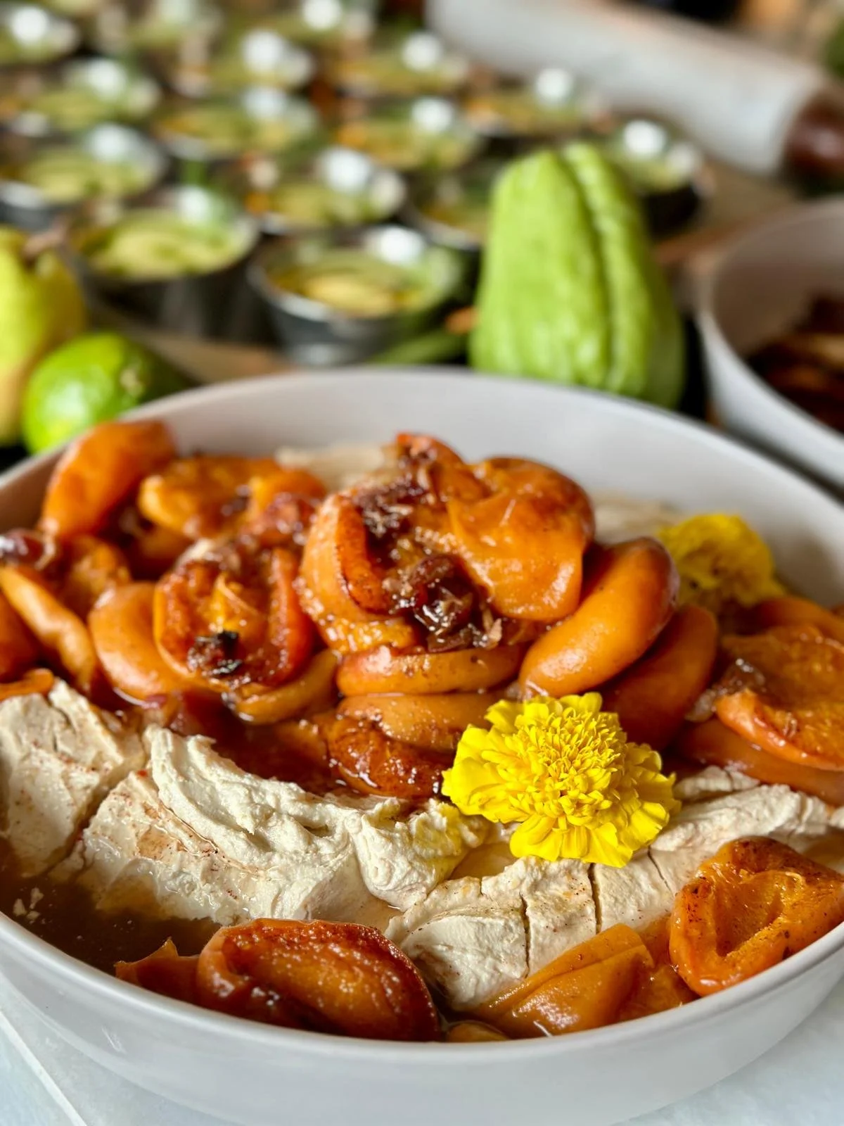 WhatsApp Image 2026-03-25 at 14.20.32.jpeg