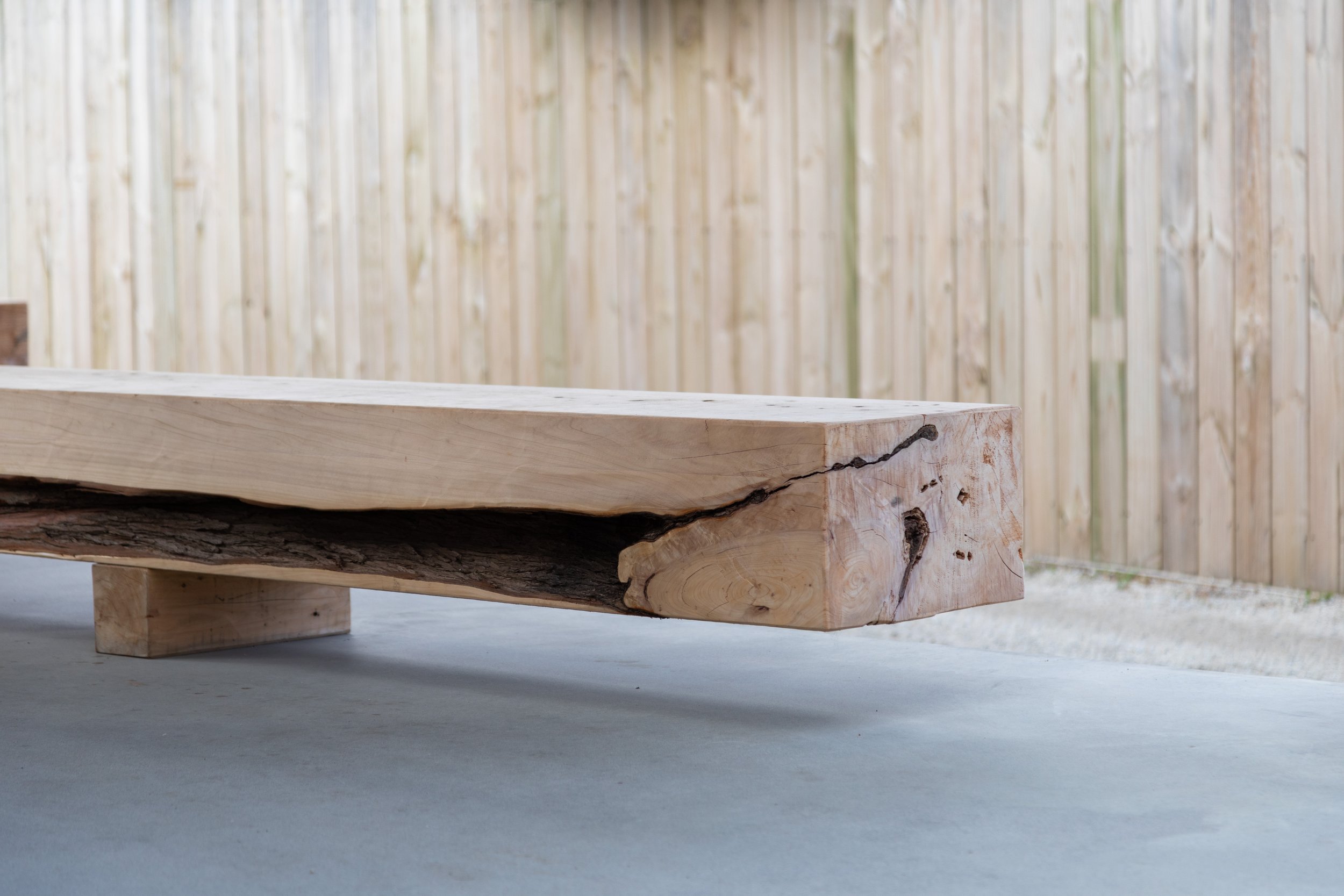 Copy of IMAGE-272.JPG