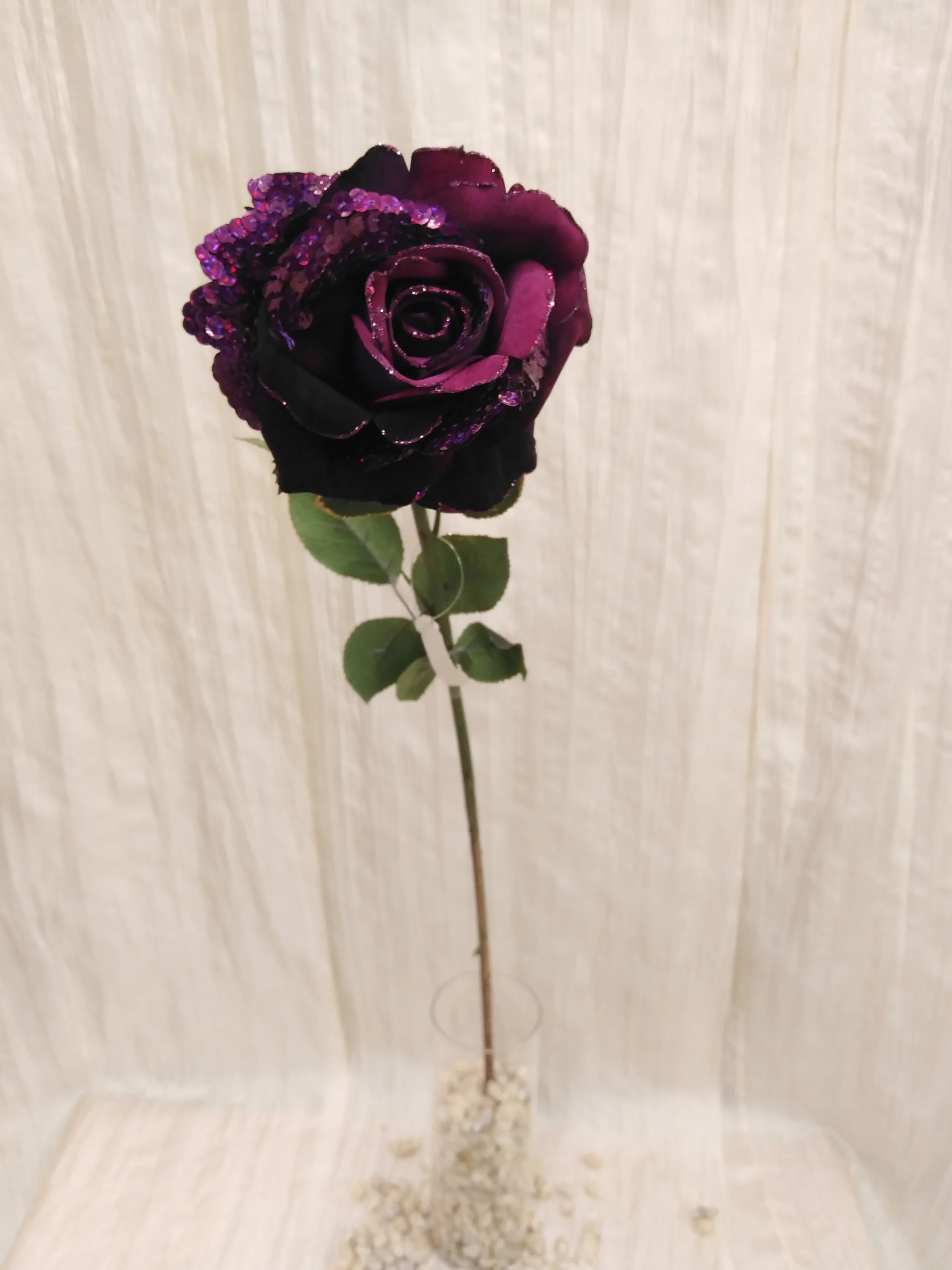 IMG_20230424_100216.jpg