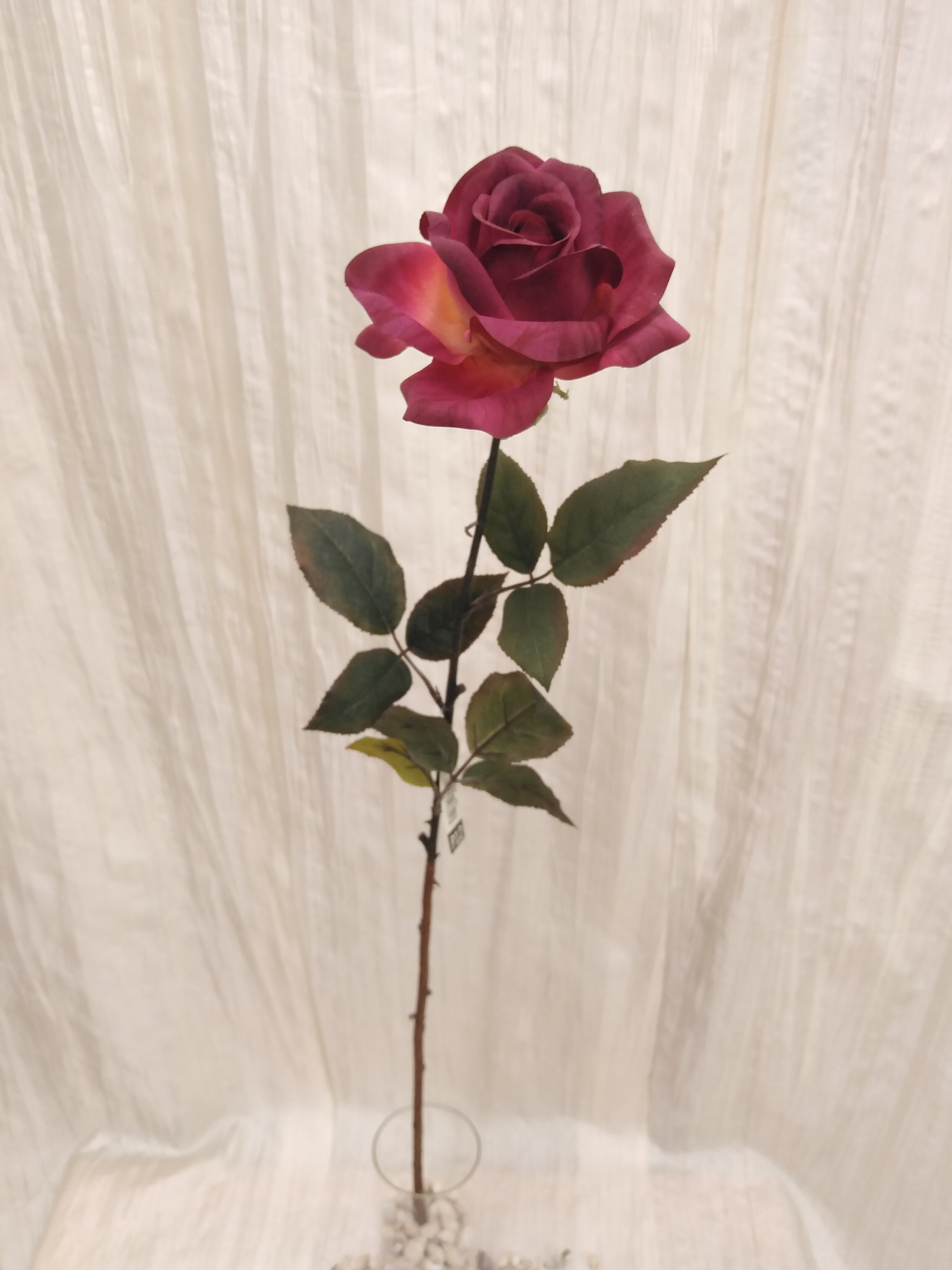 IMG_20230425_075930.jpg