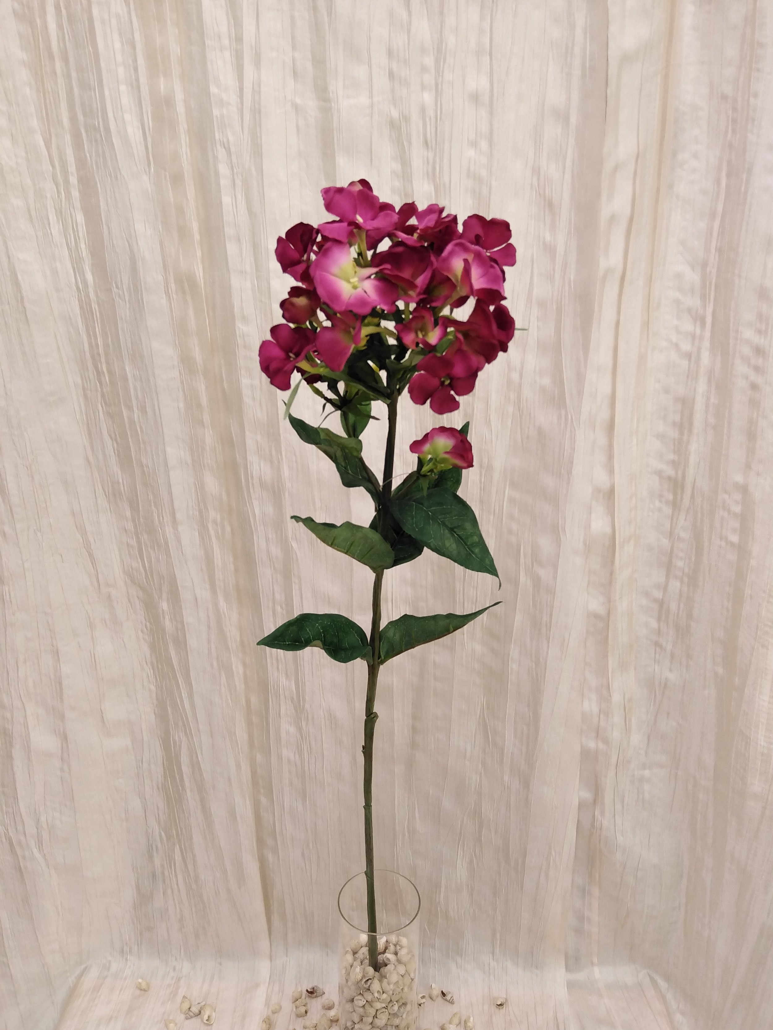 IMG_20230424_154426.jpg