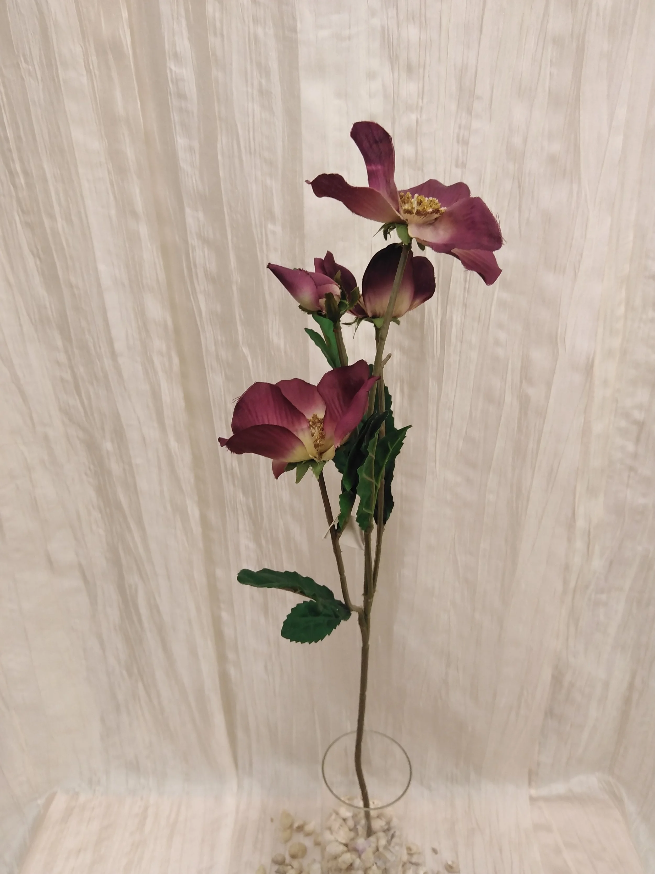 IMG_20230424_102644.jpg