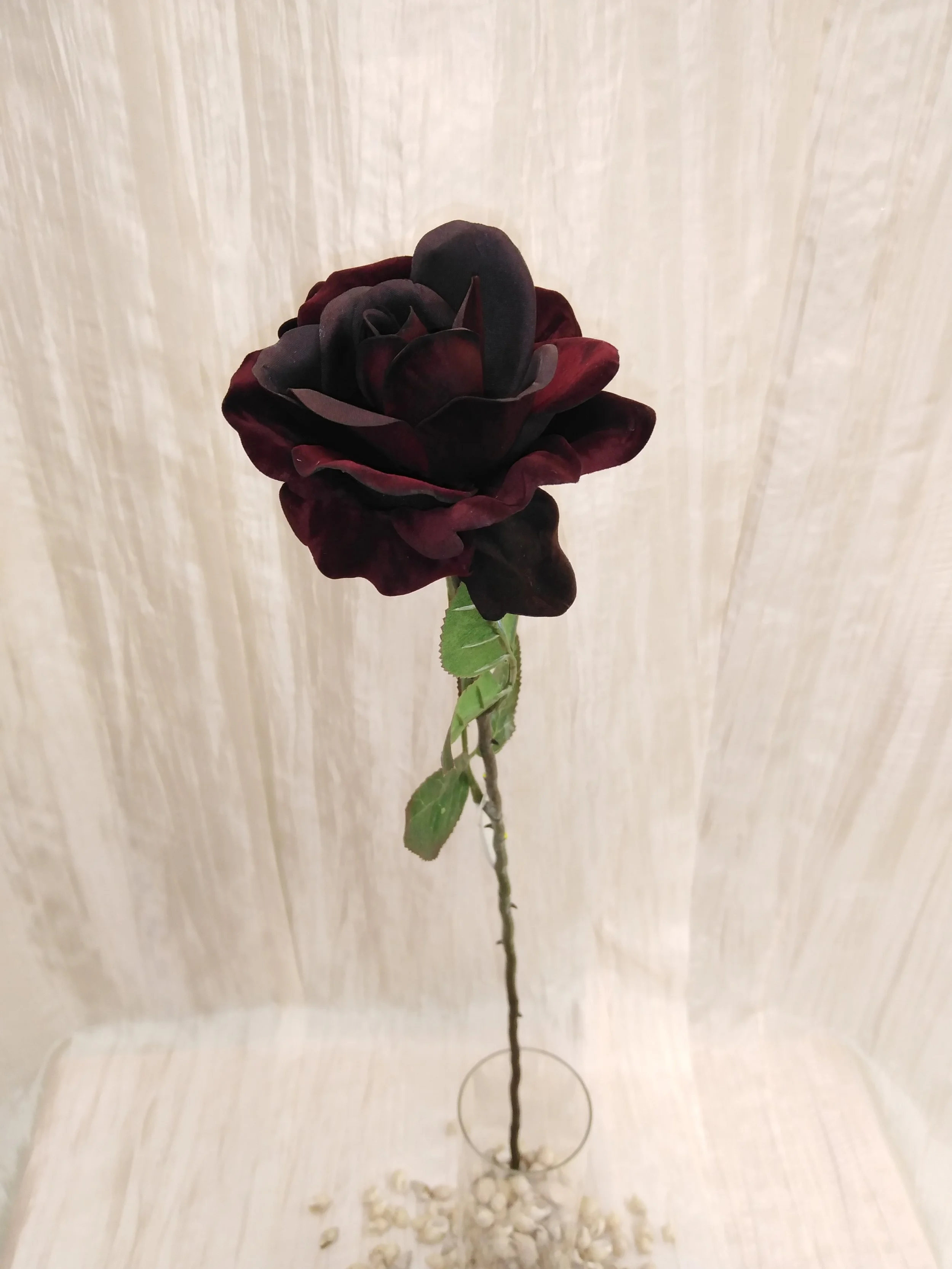 IMG_20230428_150448.jpg