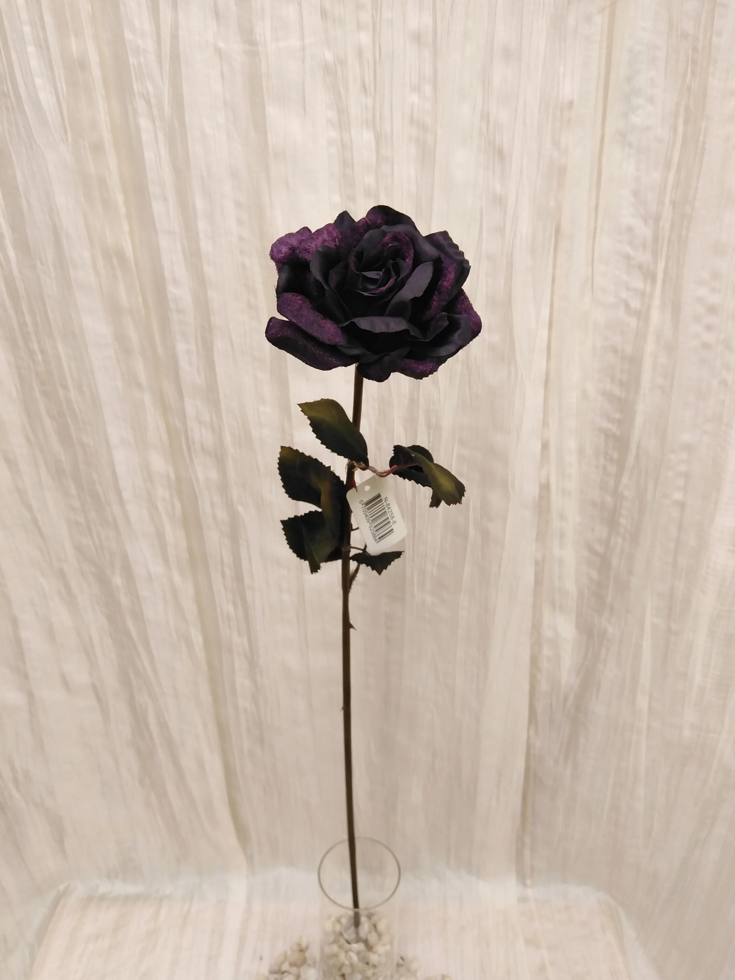 IMG_20230424_104432.jpg