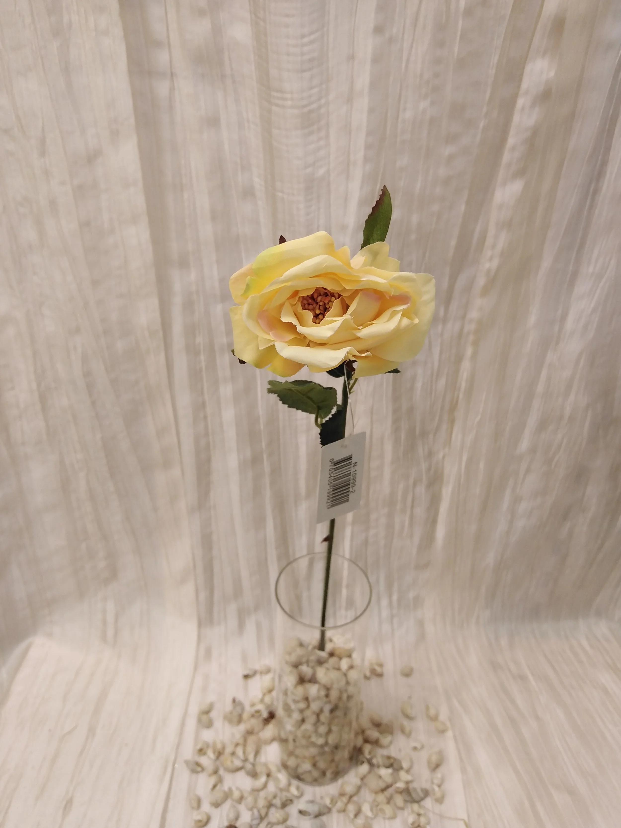 IMG_20230426_120601.jpg