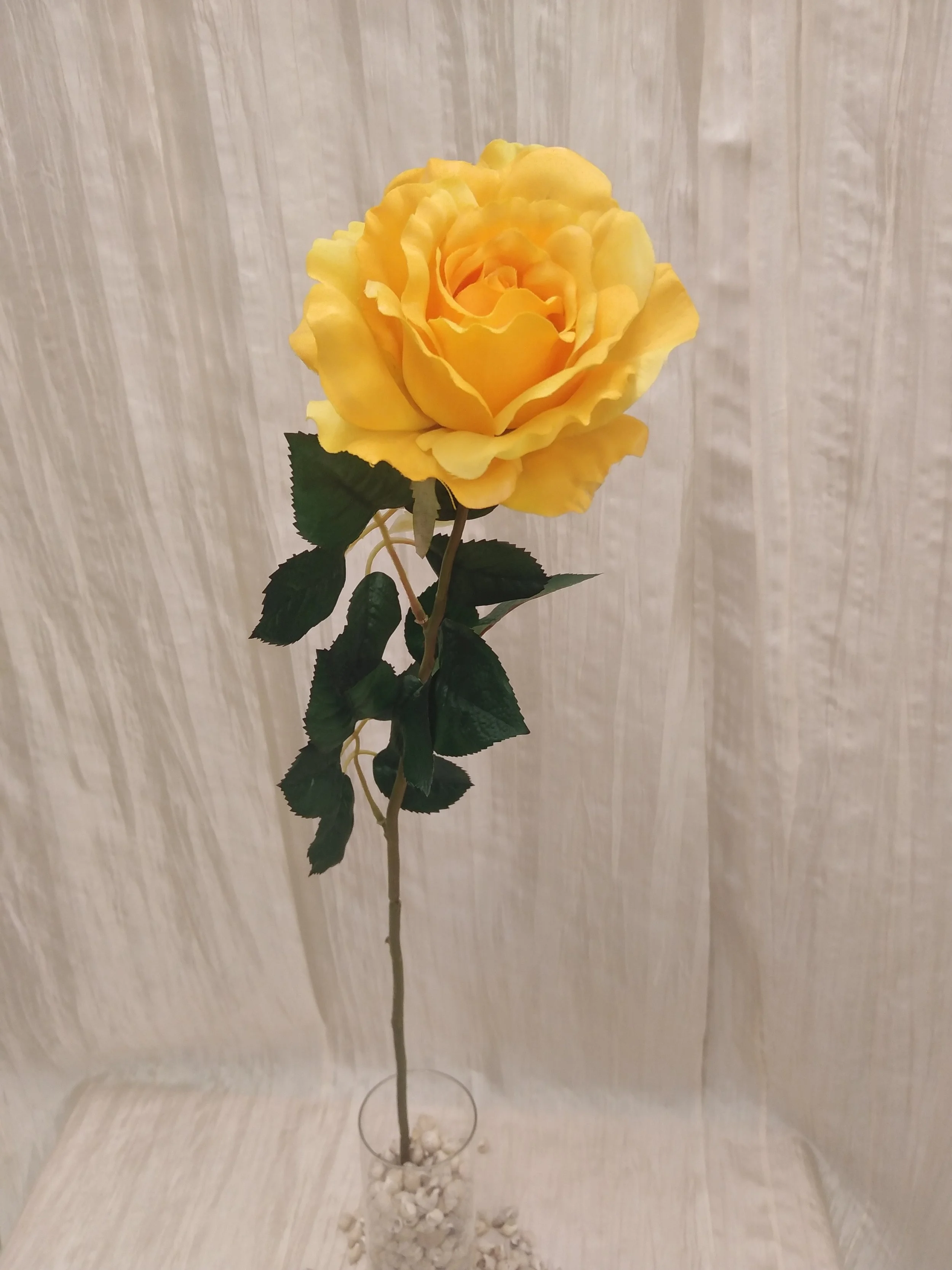 IMG_20230425_151931.jpg
