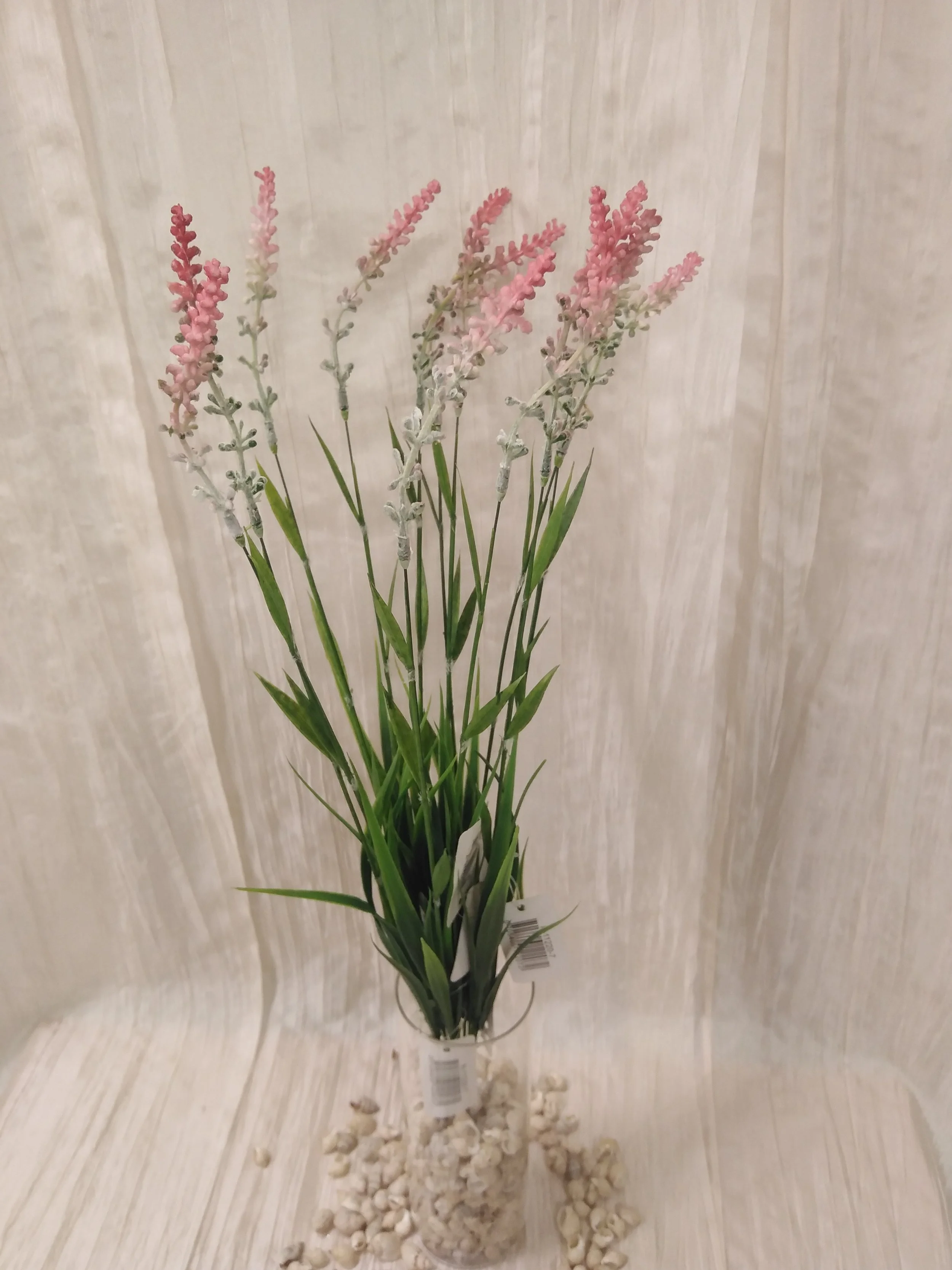 IMG_20230413_082013.jpg