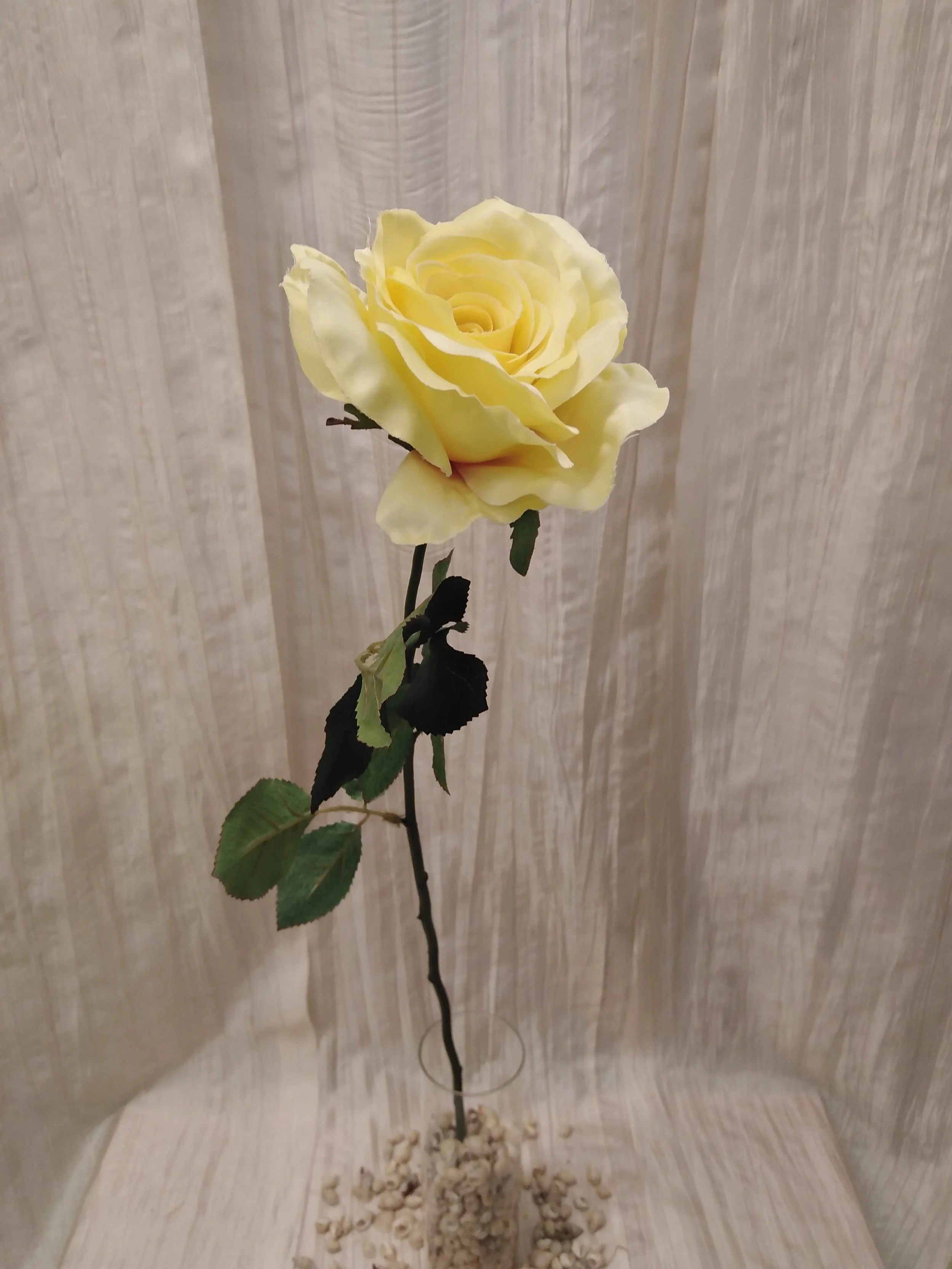 IMG_20230426_142814.jpg