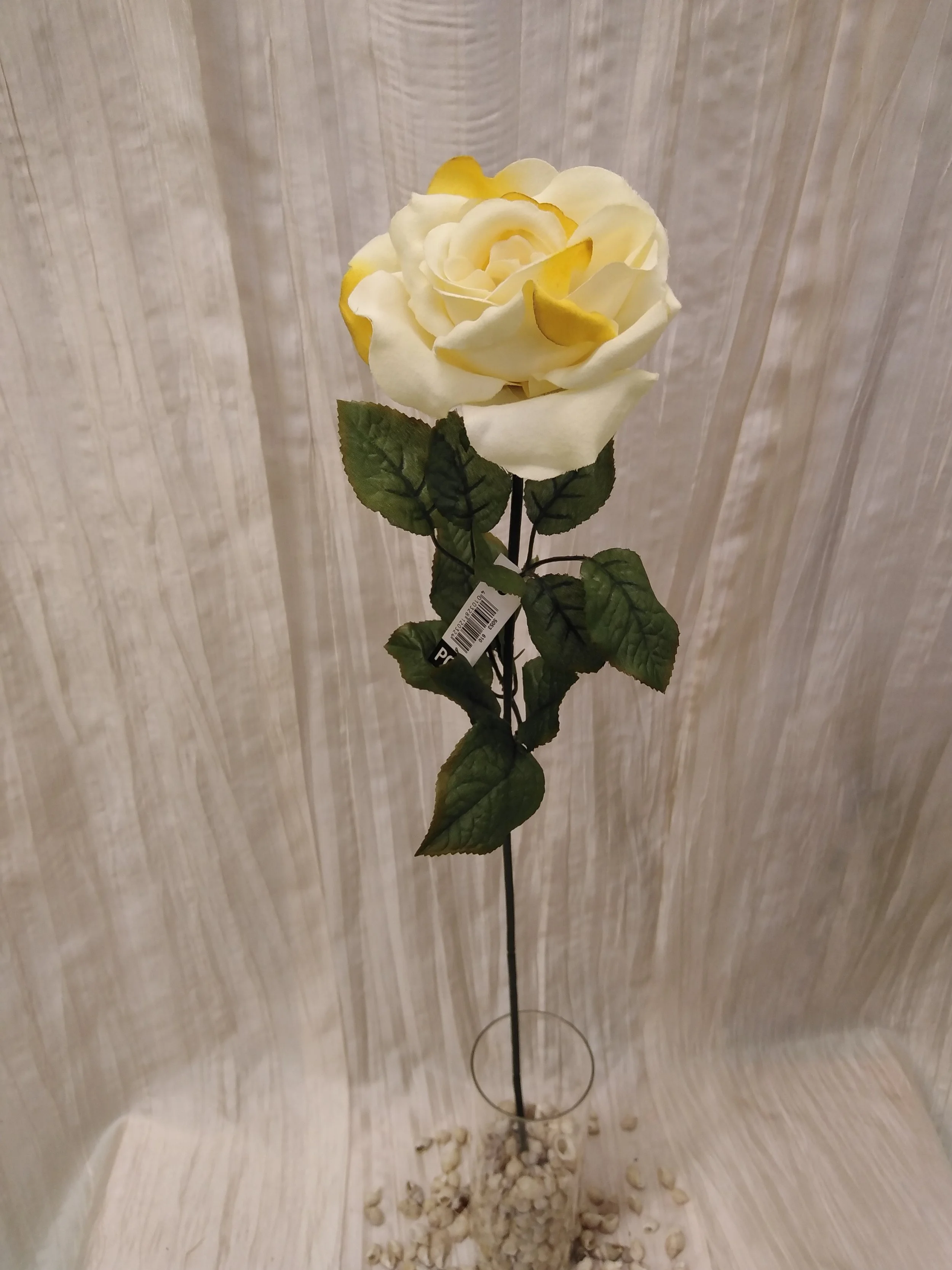 IMG_20230426_120436.jpg