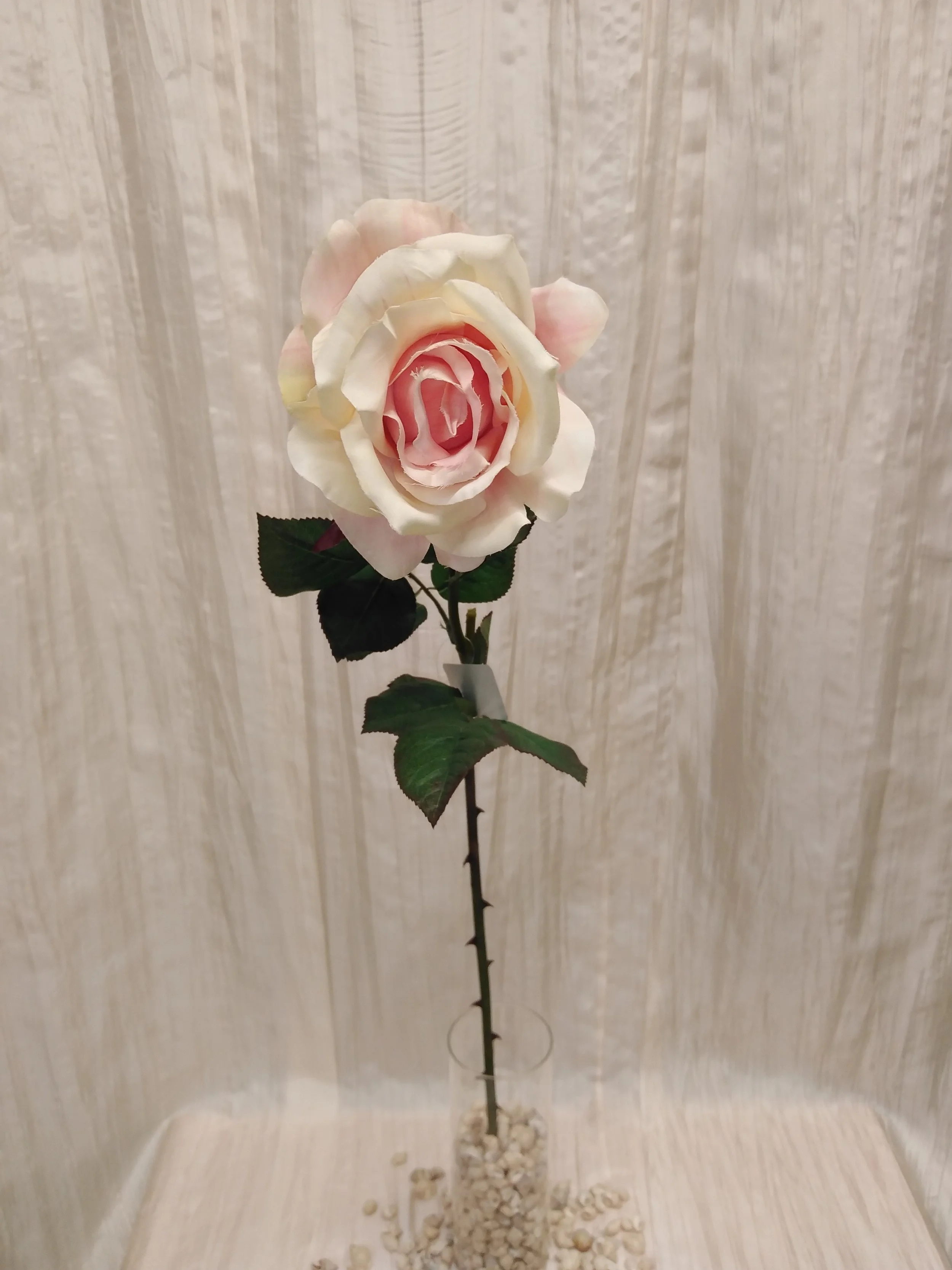 IMG_20230427_081628.jpg