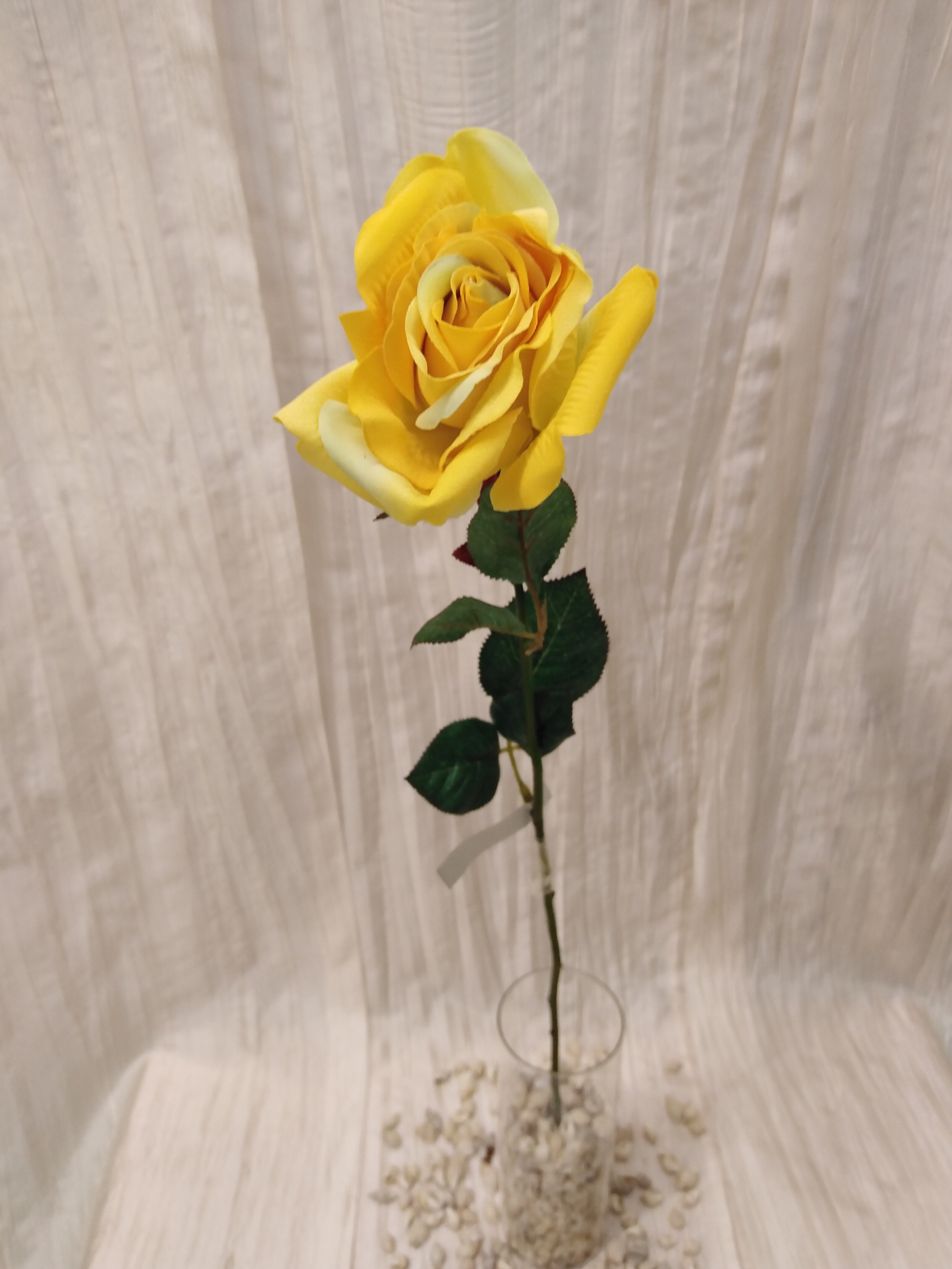 IMG_20230426_111659.jpg