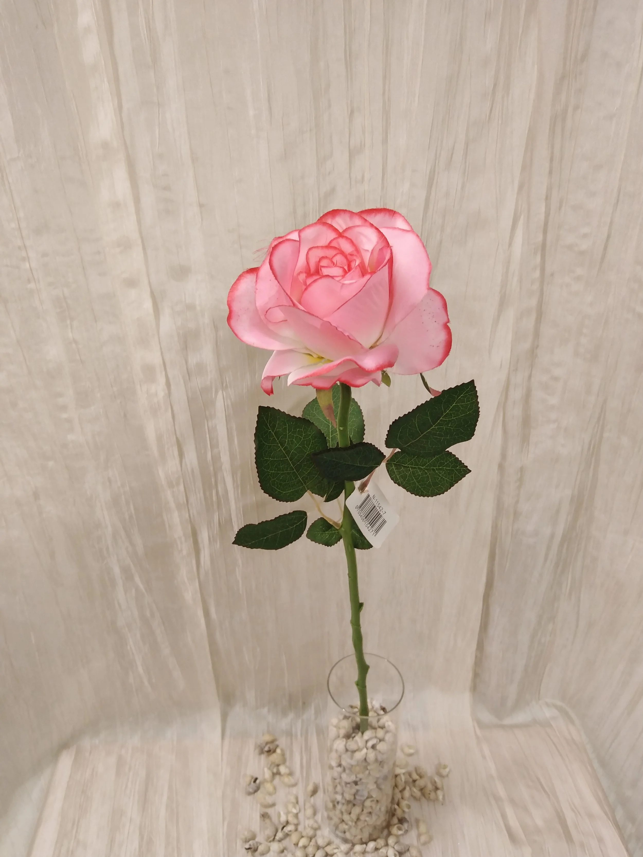 IMG_20230413_100646.jpg