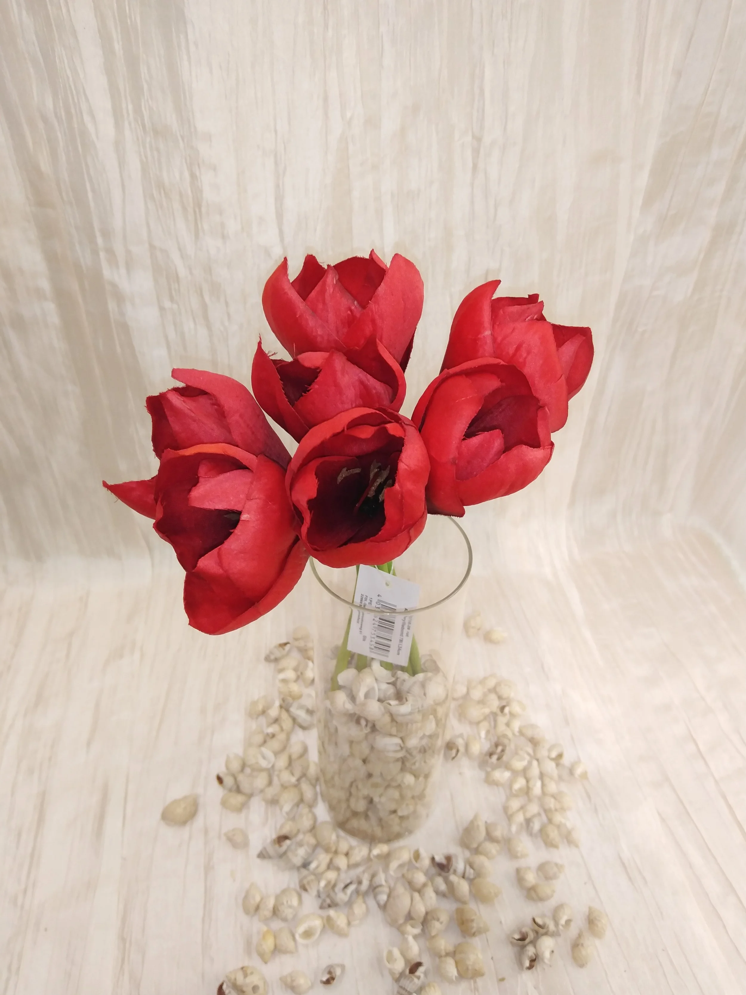 IMG_20230502_091456.jpg