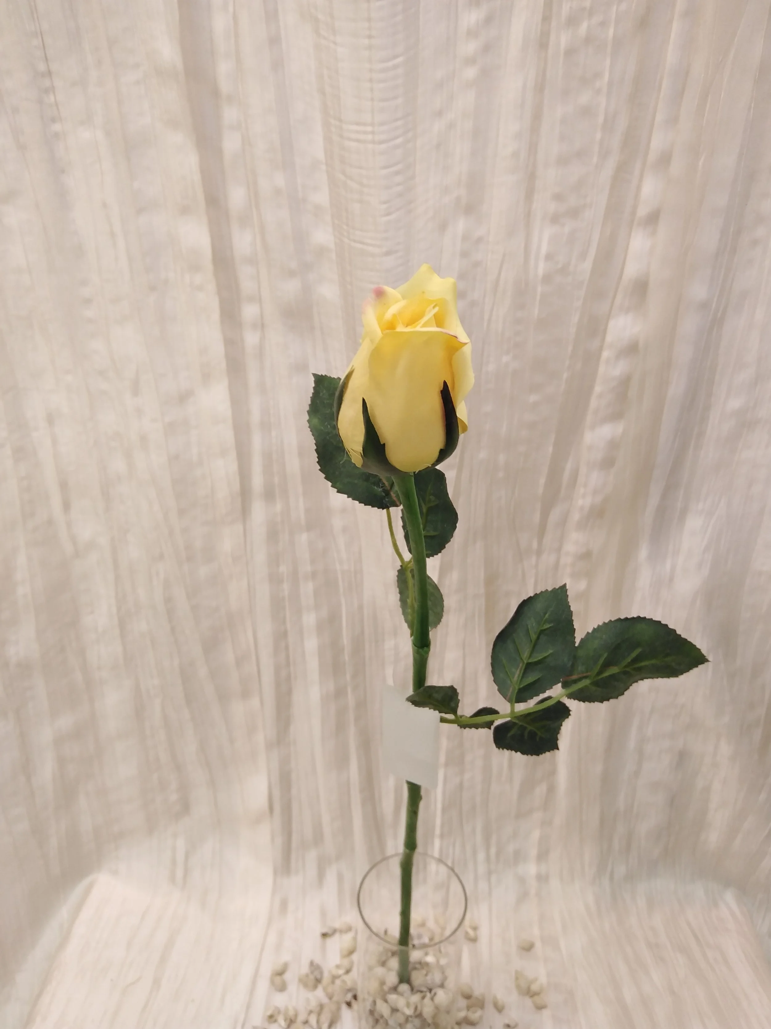 IMG_20230426_114357.jpg