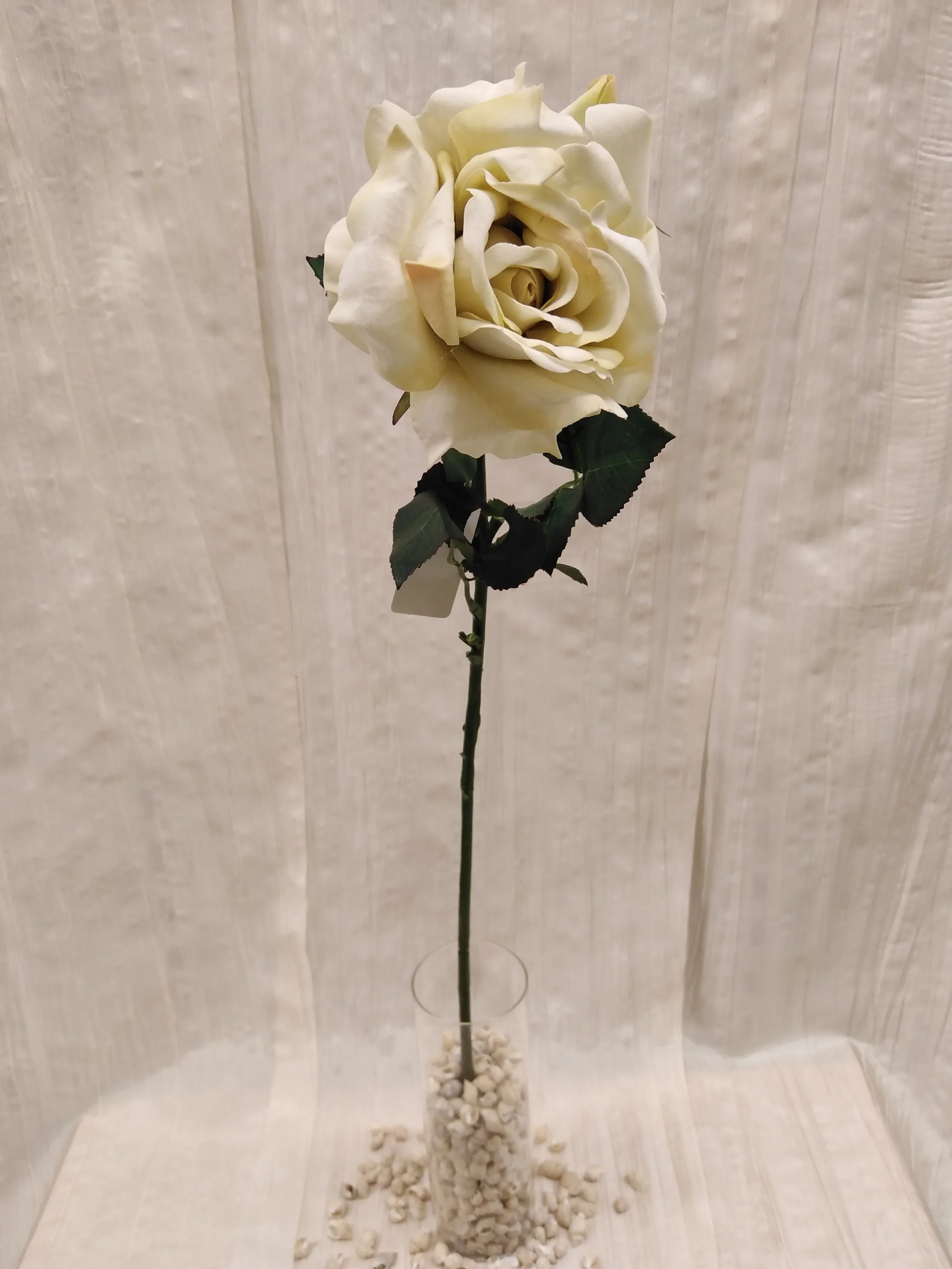 IMG_20230410_121155.jpg