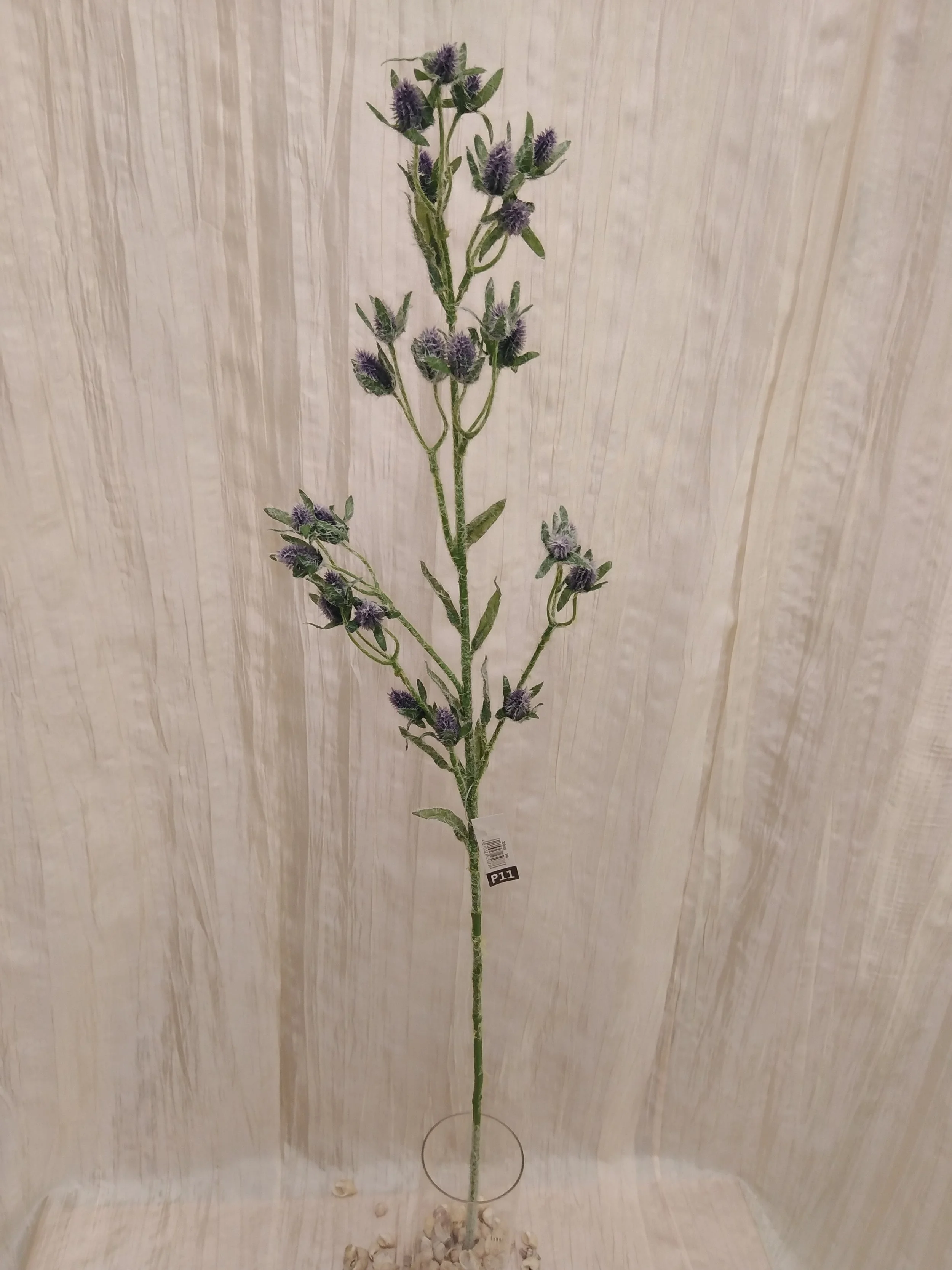 IMG_20230415_091733.jpg