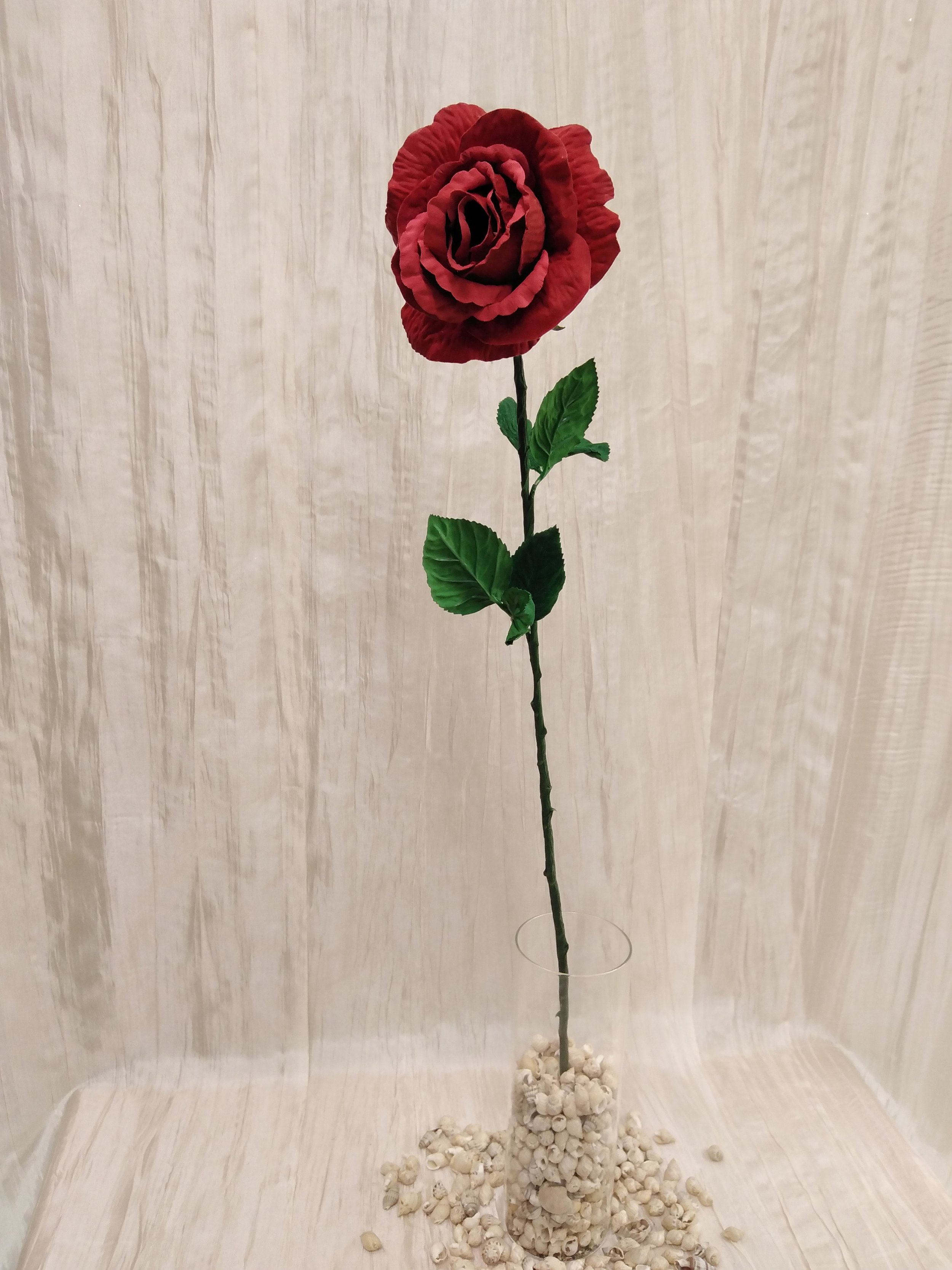 IMG_20230429_105120.jpg