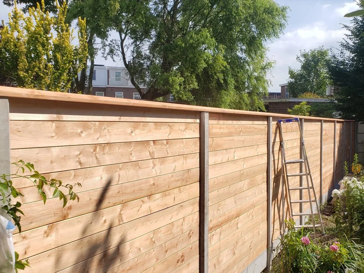 A wooden fence under construction in a garden, with a ladder leaning against it, and trees in the background.