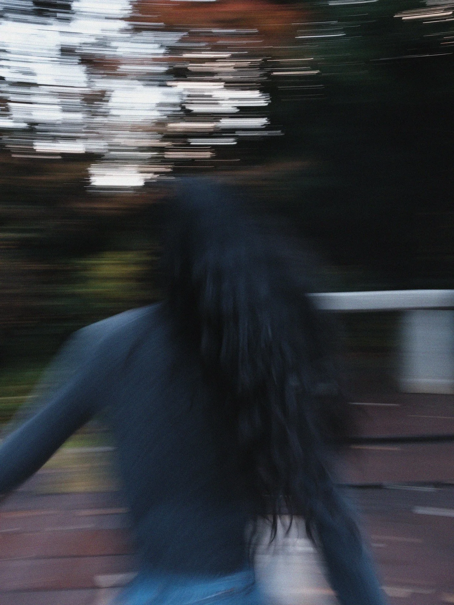 hakone1.jpg