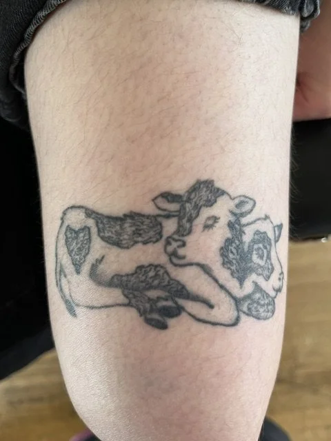 Emma cow healed.jpg