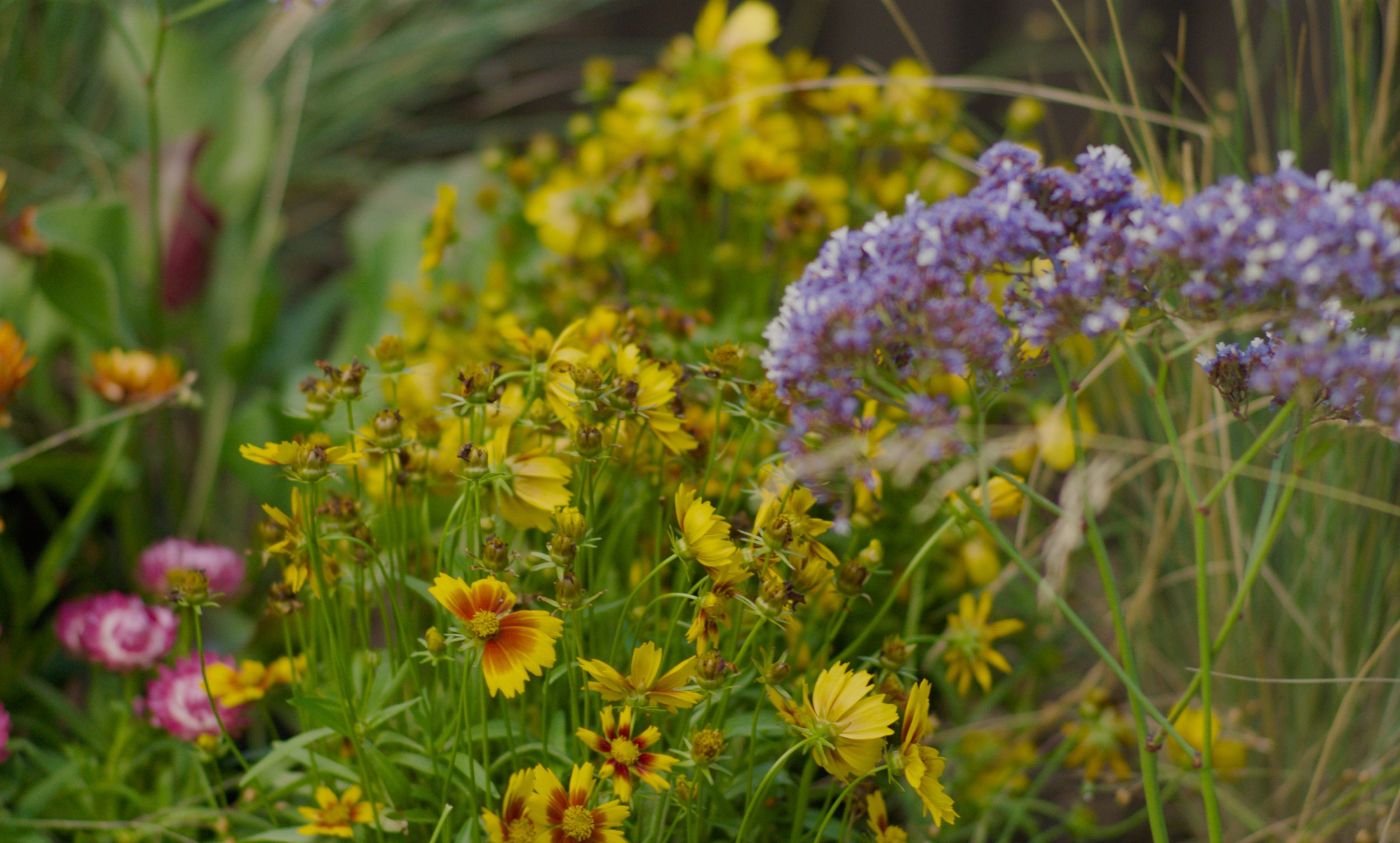 Screenshot 2026-02-03 at 12.52.18 pm.jpg