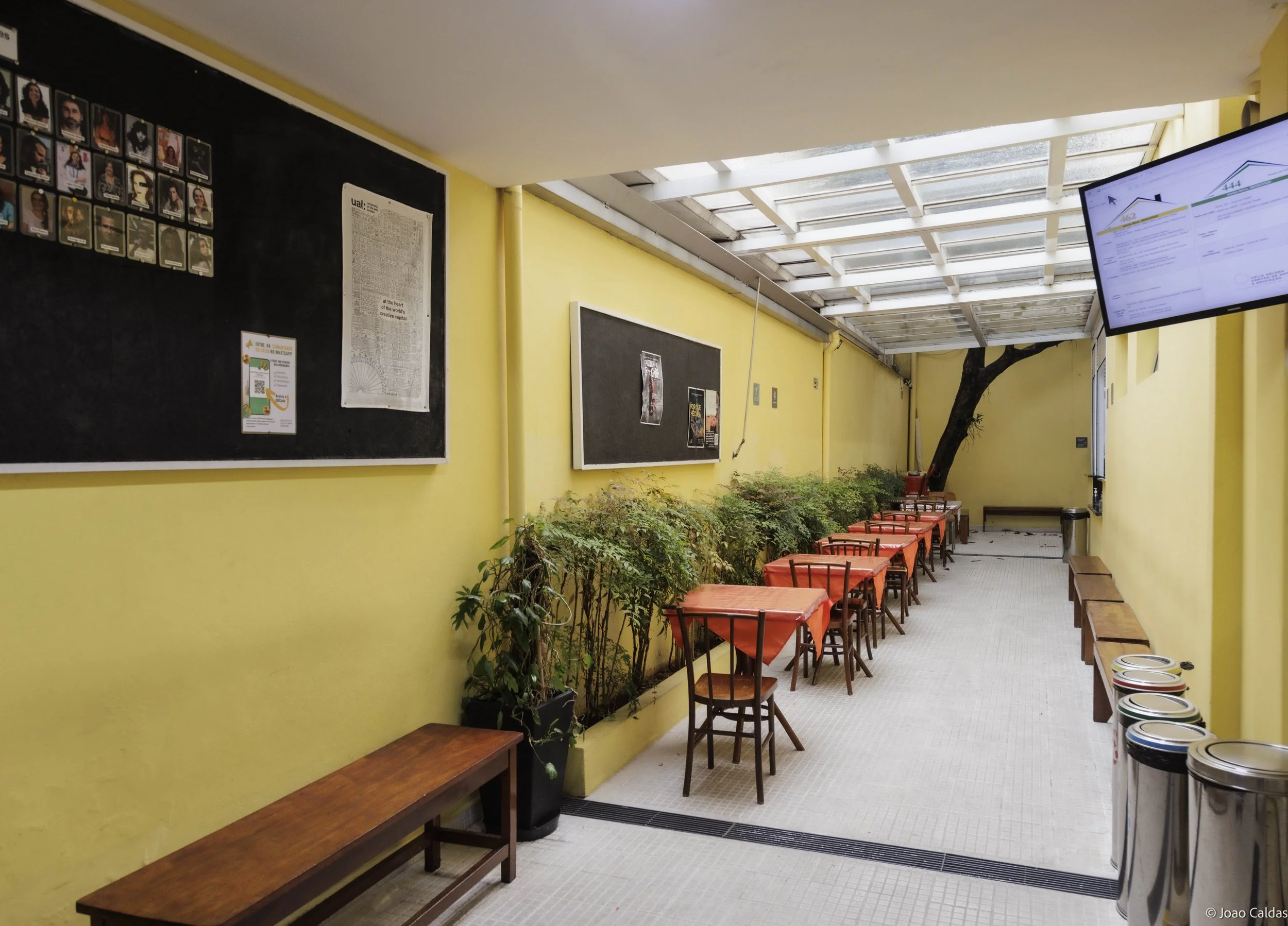 Corredor com paredes amarelas, mesas com toalhas vermelhas, cadeiras de madeira, plantas ao lado, uma árvore crescendo dentro do espaço, quadro de avisos na parede, tela de monitor na parede direita, lixo ao lado, bancos de madeira na parede ao fundo.