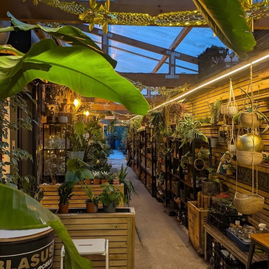 Green Life Events Night Market