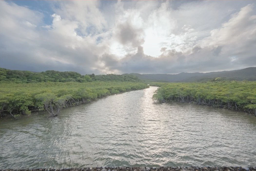 僕は油粘土でいい—情報過多時代の飽き性という才能