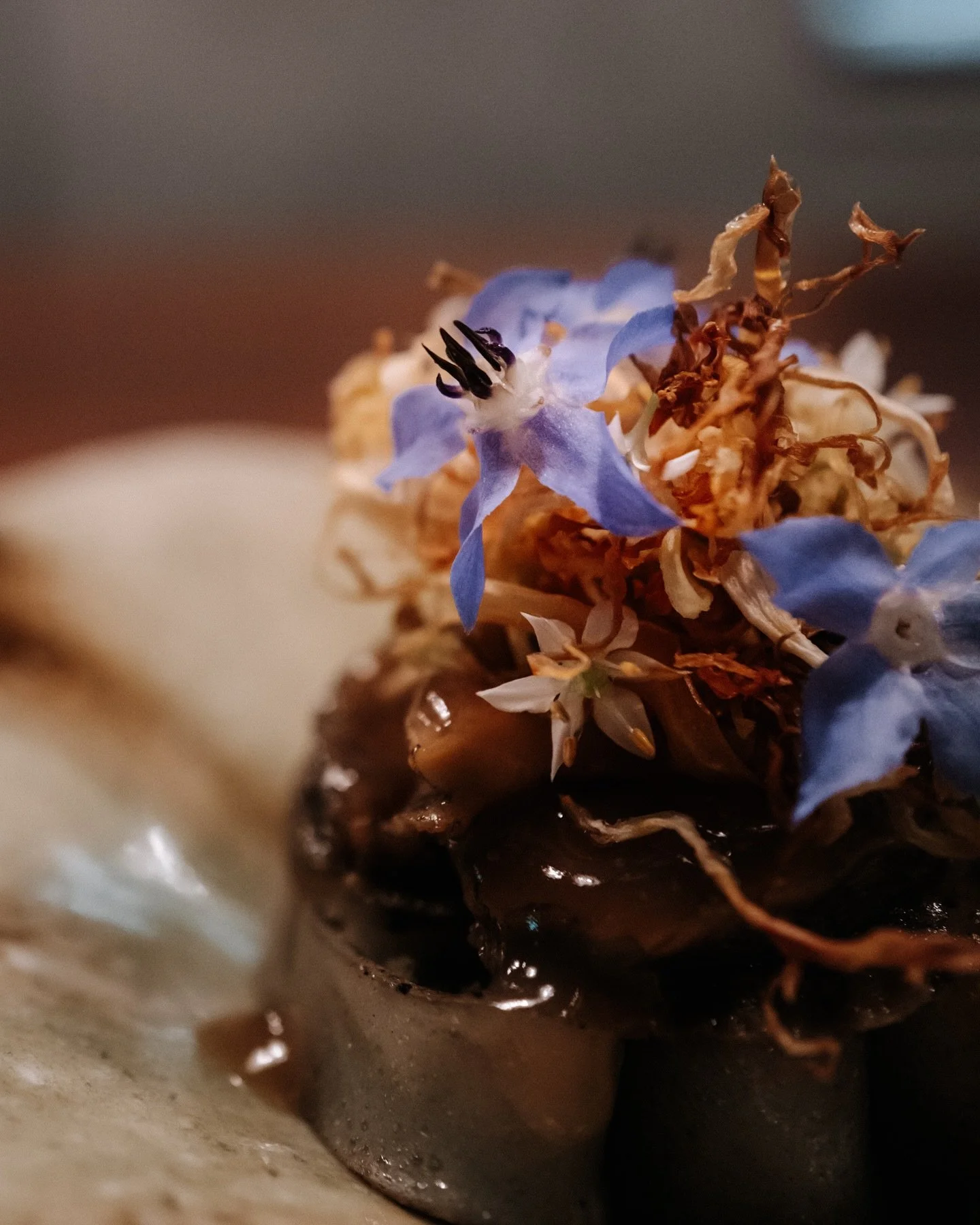 At Province, the pursuit of flavour is never fixed. As seasons shift, so do our expressions, always guided by the best of each harvest.

Our abalone dish has taken on a new form. This iteration began with a vibrant batch of green tomatoes at the mark